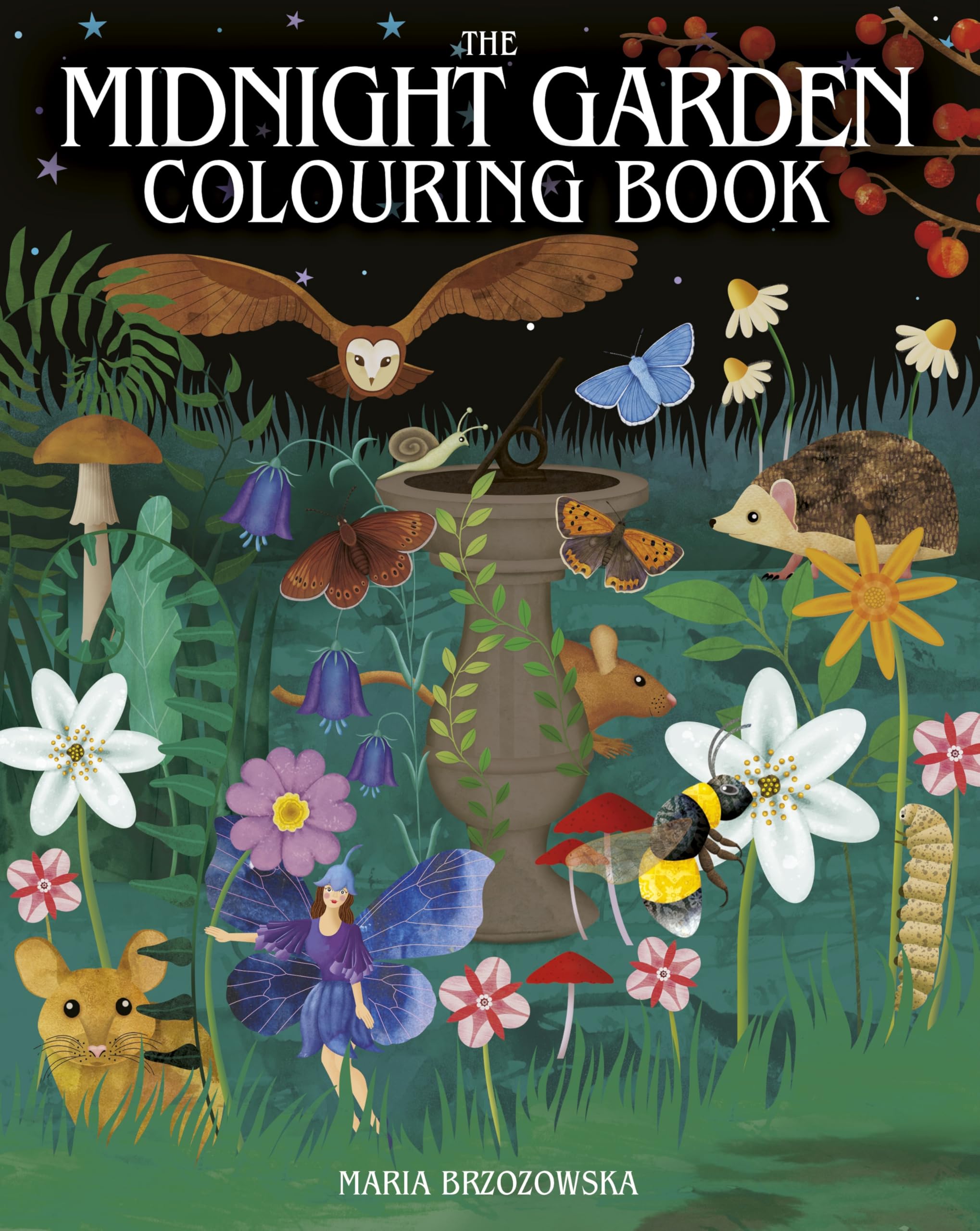 The Midnight Garden Colouring Book: Over 45 Enchanting Images (Arcturus Creative Colouring)