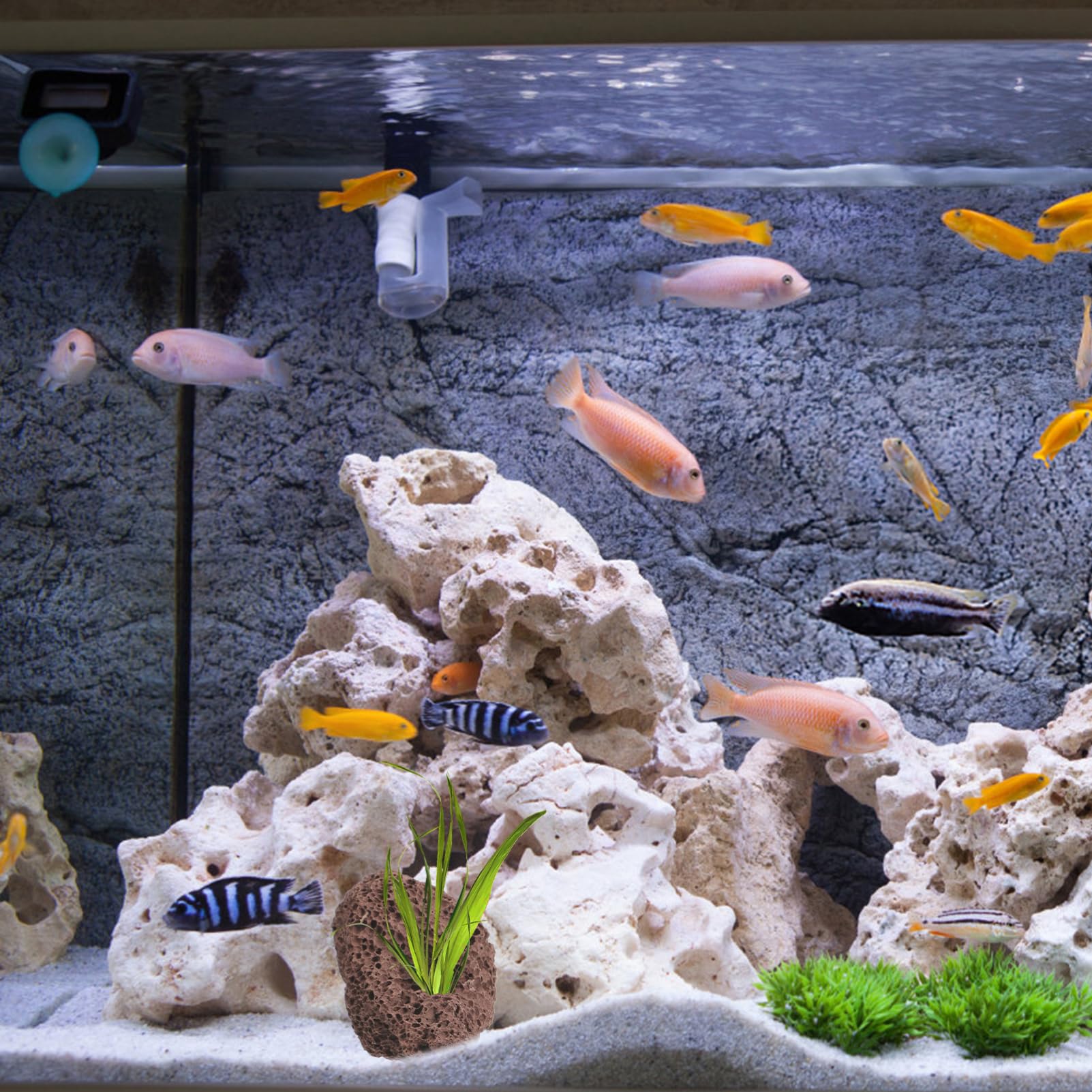 DOITOOL Lot de 6 pierres de lave volcaniques pour aquarium, petites pierres ponces volcaniques marron foncé, pierres d'aquarium pour décoration d'aquarium, 10 x 7 x 4 cm
