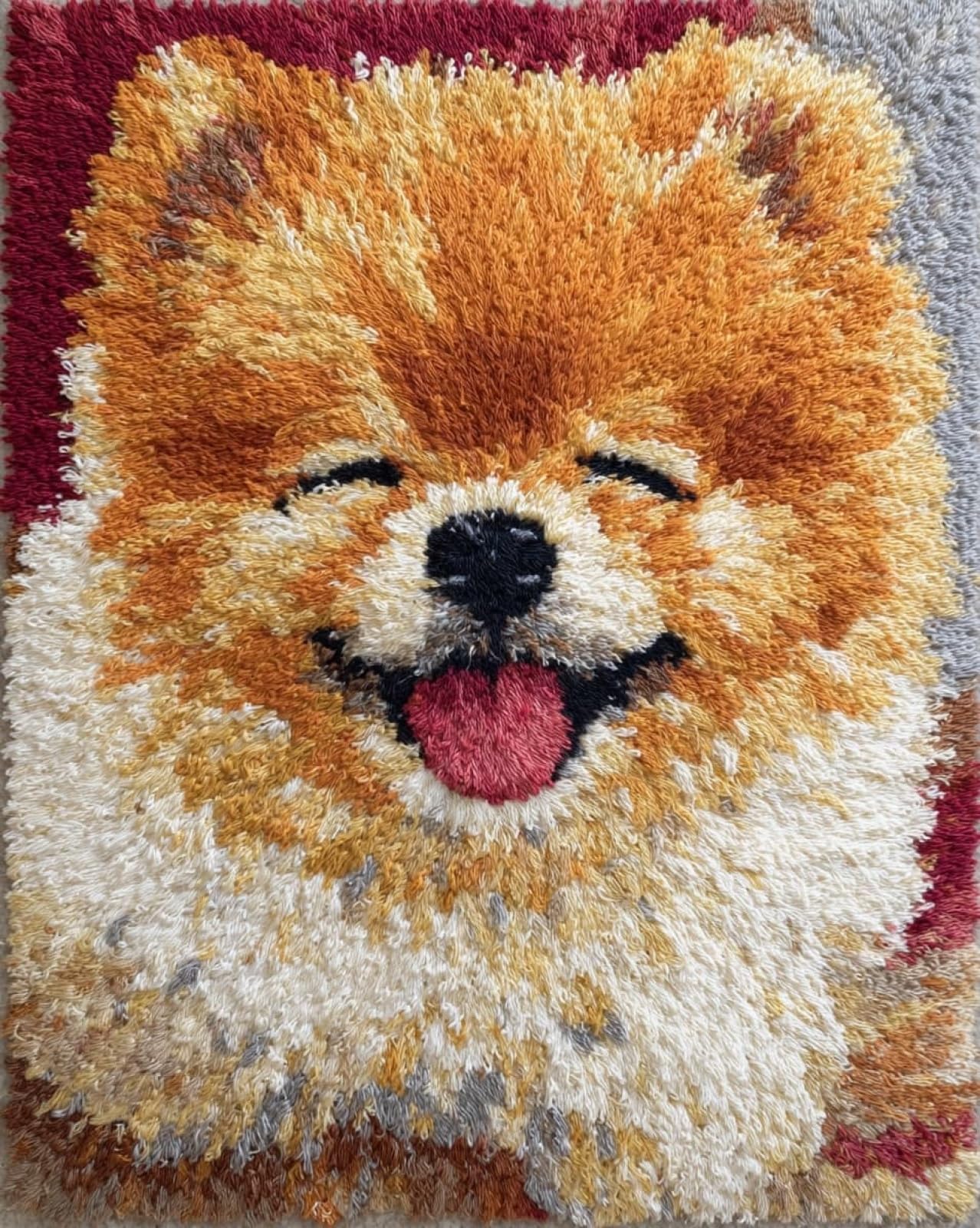 Wallphantom DIY Latch Hook Rug Kit,Happy Pomeranian,Latch Hook Kits for Adults,Home Carpet Rug Making,Needlework Crafts Rug for Home Decor,60x90cm