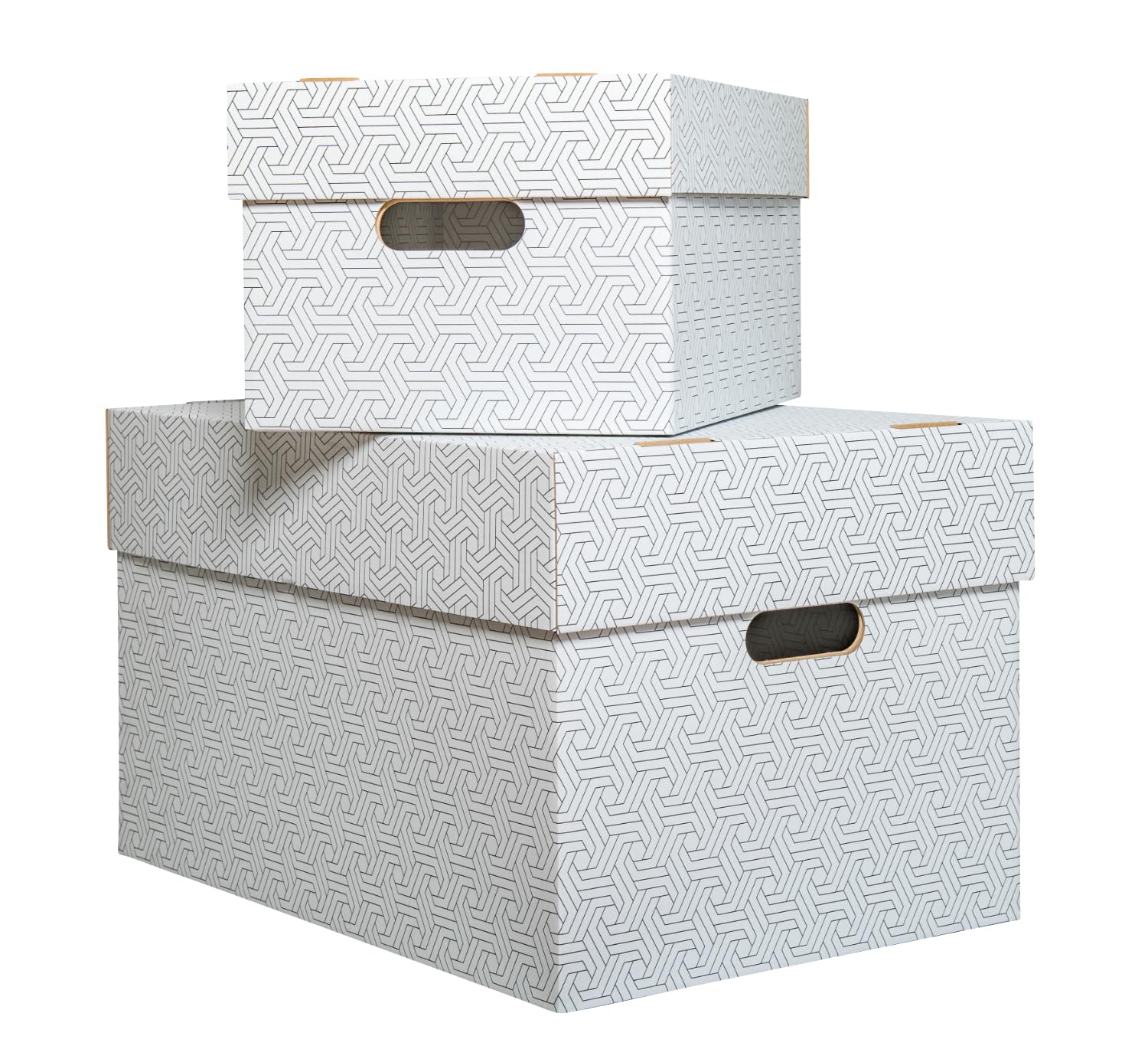 karton-billiger | Aufbewahrungsbox mit Deckel Archivbox Geschenkbox (9Stück, XL - 50x35x30,5cm)