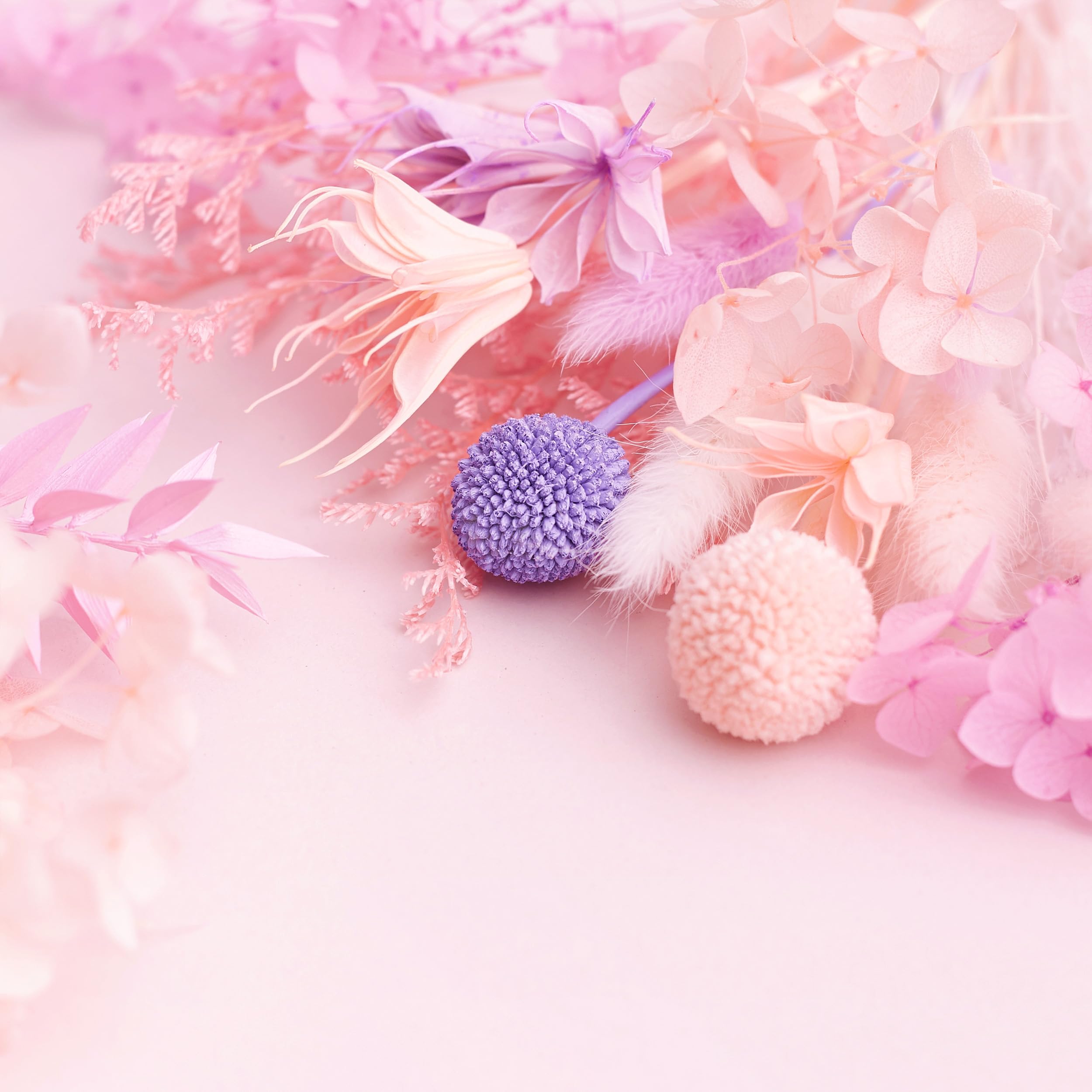 The Baked Studio, Deluxe Dried Flower Set Containing Hydrangea, Craspedia, Octagonal Flowers, Ruscus - Image 3