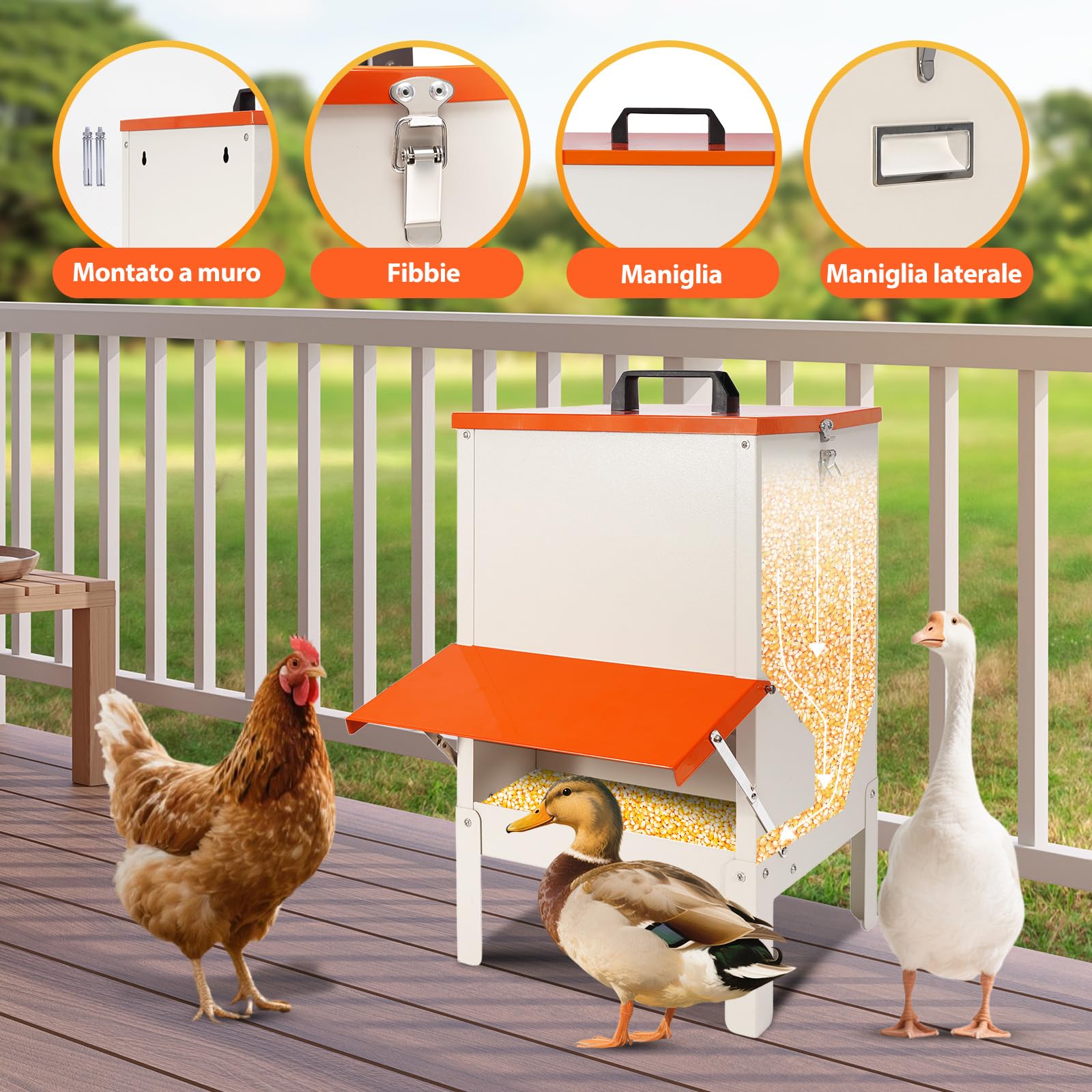 Mangiatoia Automatica per Pollo,Avicoli per Galline Antitopo,18kg（30lbs）Acciaio Zincato Abbeveratoio Galline,Antispreco Mangiatoia Galline,Mangiatoia Impermeabile per Pollame