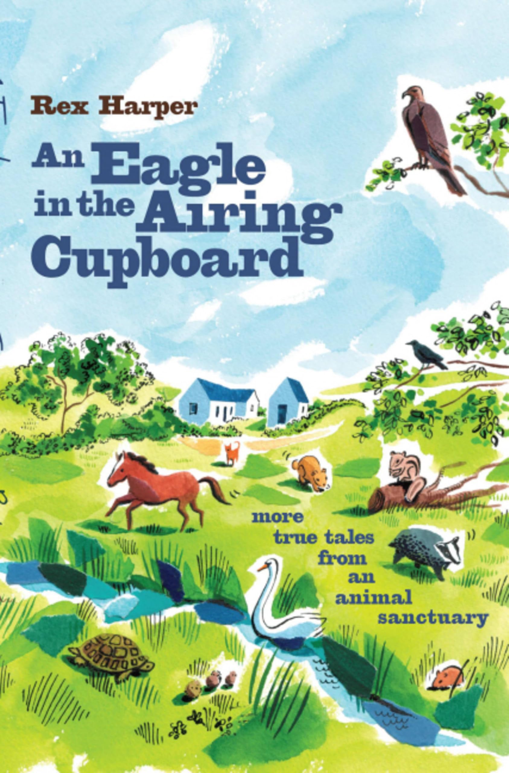 An Eagle in the Airing Cupboard