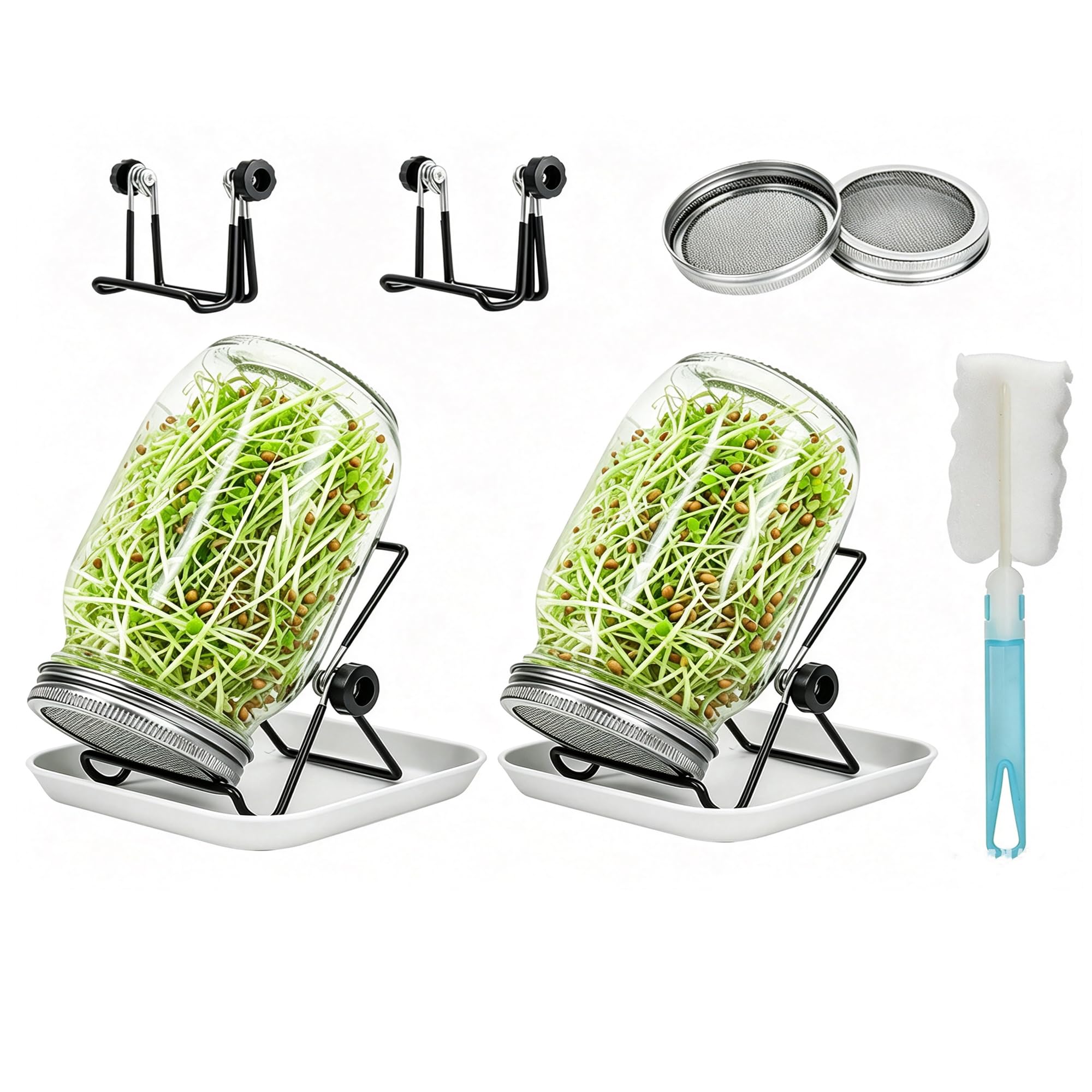 Photo 1 of Lulonpon 2-Piece Sprout Jar Kit