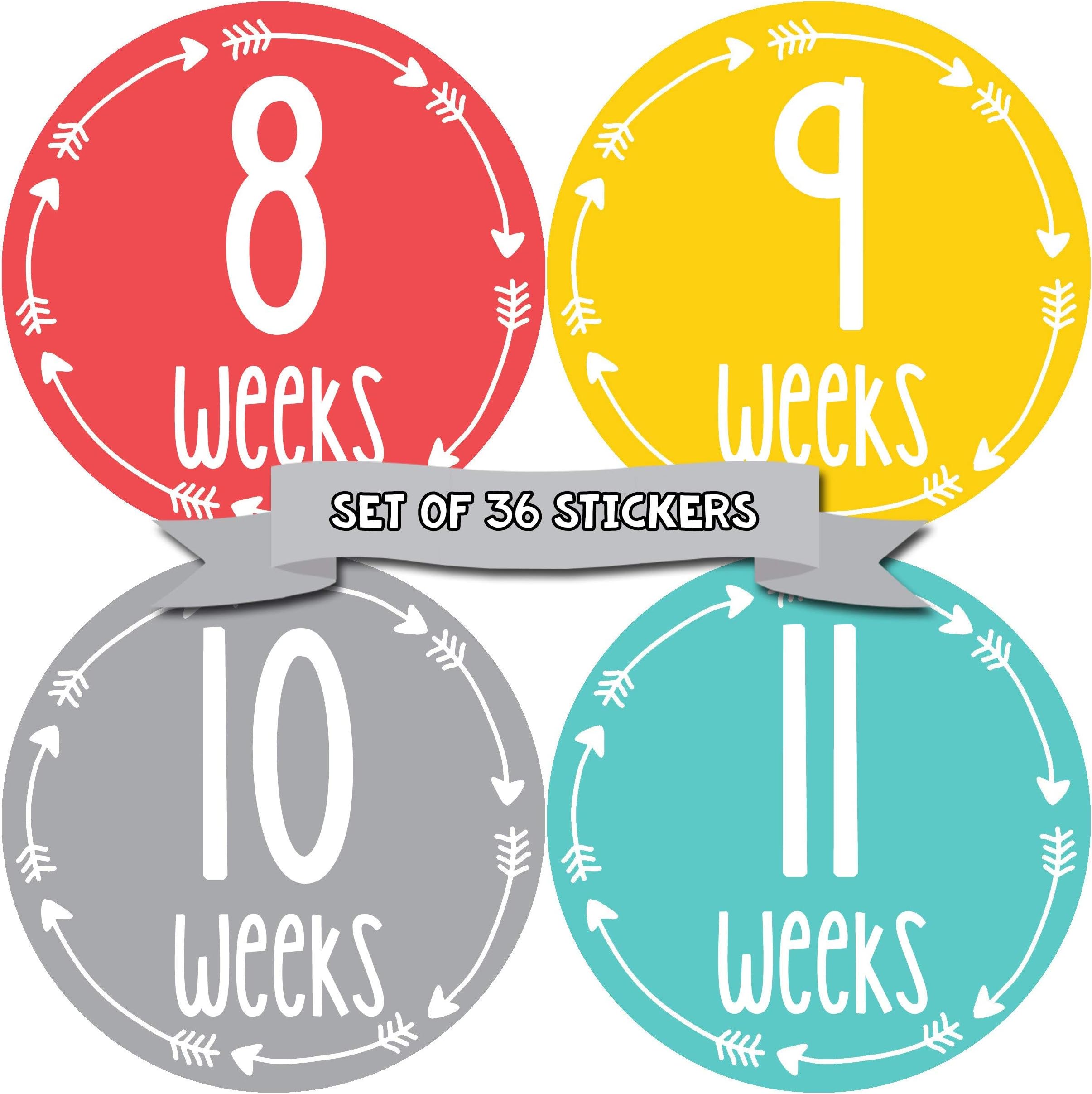 Pregnancy Weekly Belly Growth Stickers - Week to Week Pregnant Expecting Photo Prop - Maternity Keepsake - Baby Bump - Large Set of 36 Weekly Photo Sticker