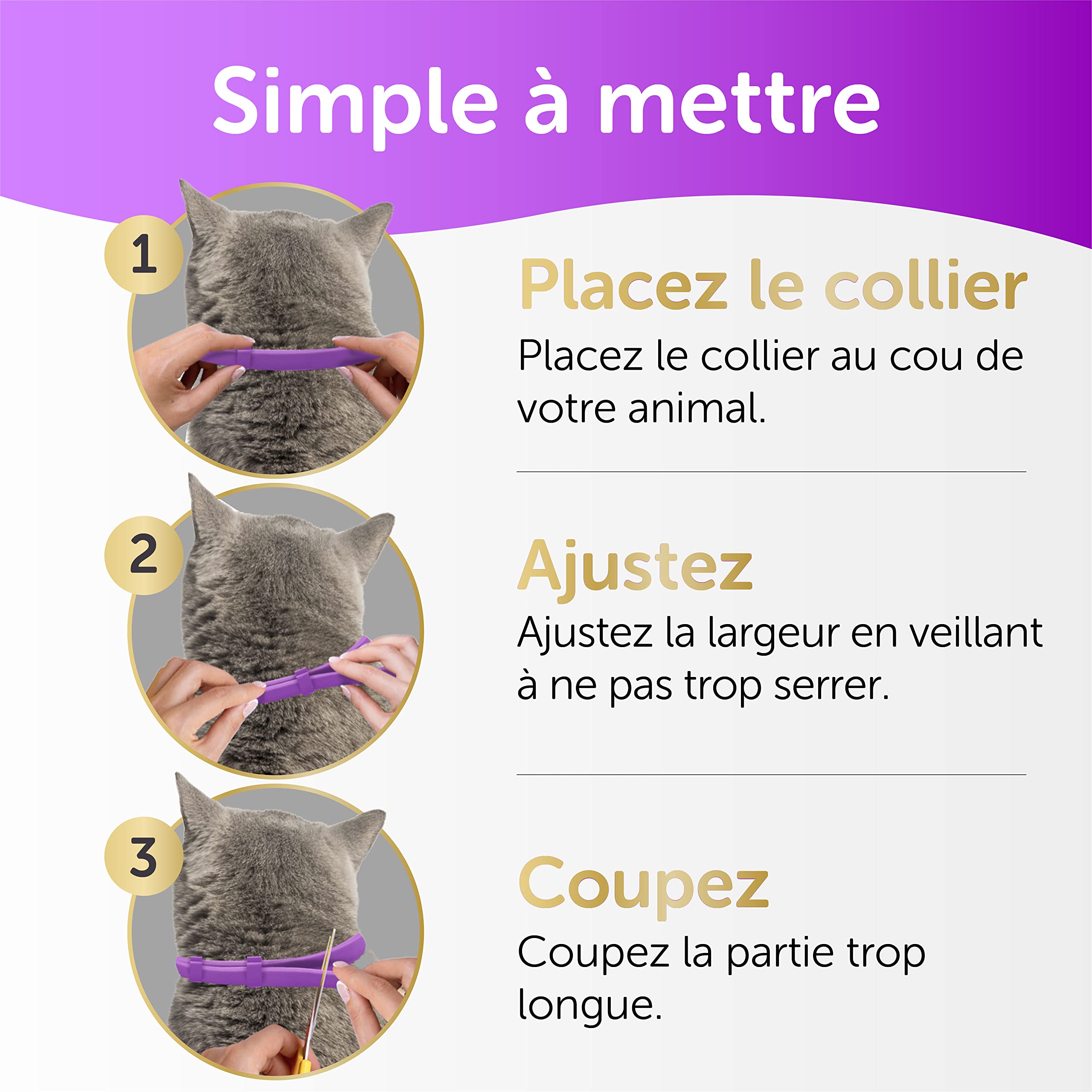 Collier Chat Ajustable - Traitement Anti-puces, Anti-Poux et Anti-tiques - Protection de Huit Mois - Imperméable - 33 cm - Violet - Toldi