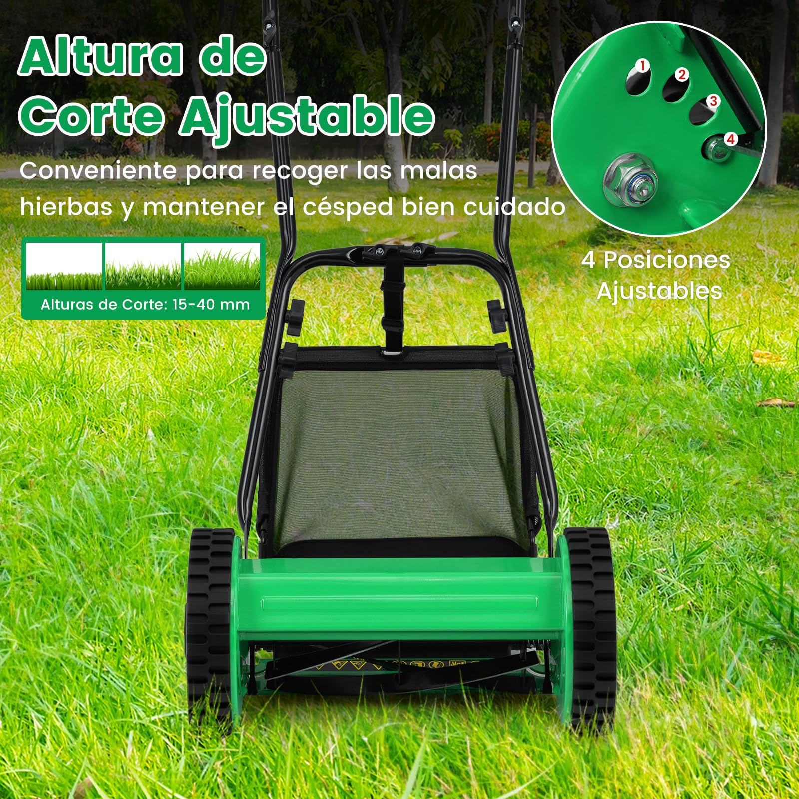 COSTWAY Cortacésped Manual, Barrendero de Césped con Ancho de Corte de 30 cm, Altura de Corte Ajustable de 15-40 mm, Caja de Recolección de Césped de 18,5 L, 2 Ruedas, Cuchilla (Verde)