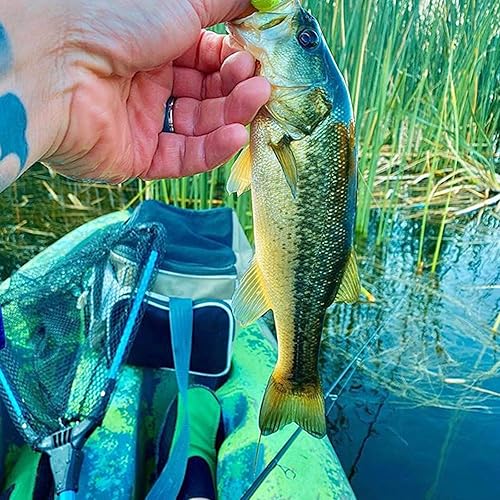 Miniatura 2 de Bombrooster Fishing Tool Kit - 4PCS Landing Net, Pliers, Fish Gripper and Hook Remover - Kayak and Boat Fishing Gear for Freshwater or Saltwater