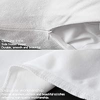 Vista 80 de NTBAY 1 paquete de funda de almohada corporal de terciopelo con cremallera, súper suave y acogedora, de franela mullida de lujo de 20 x 54 pulgadas