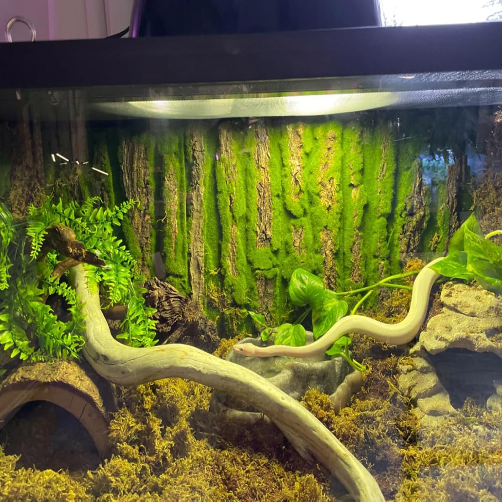 PINVNBY Terrario de reptiles, fondo de corcho, telón de fondo de corteza de dragón barbudo, decoración de pared con musgo artificial para gecko, lagarto, tortuga, rana, camaleón (paquete de 4)
