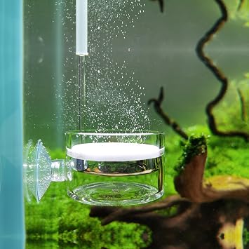 Pollen Glass CO2 Diffuser with U-Shape Connecting Tube for Aquarium Planted Tank 20-50 US gallons