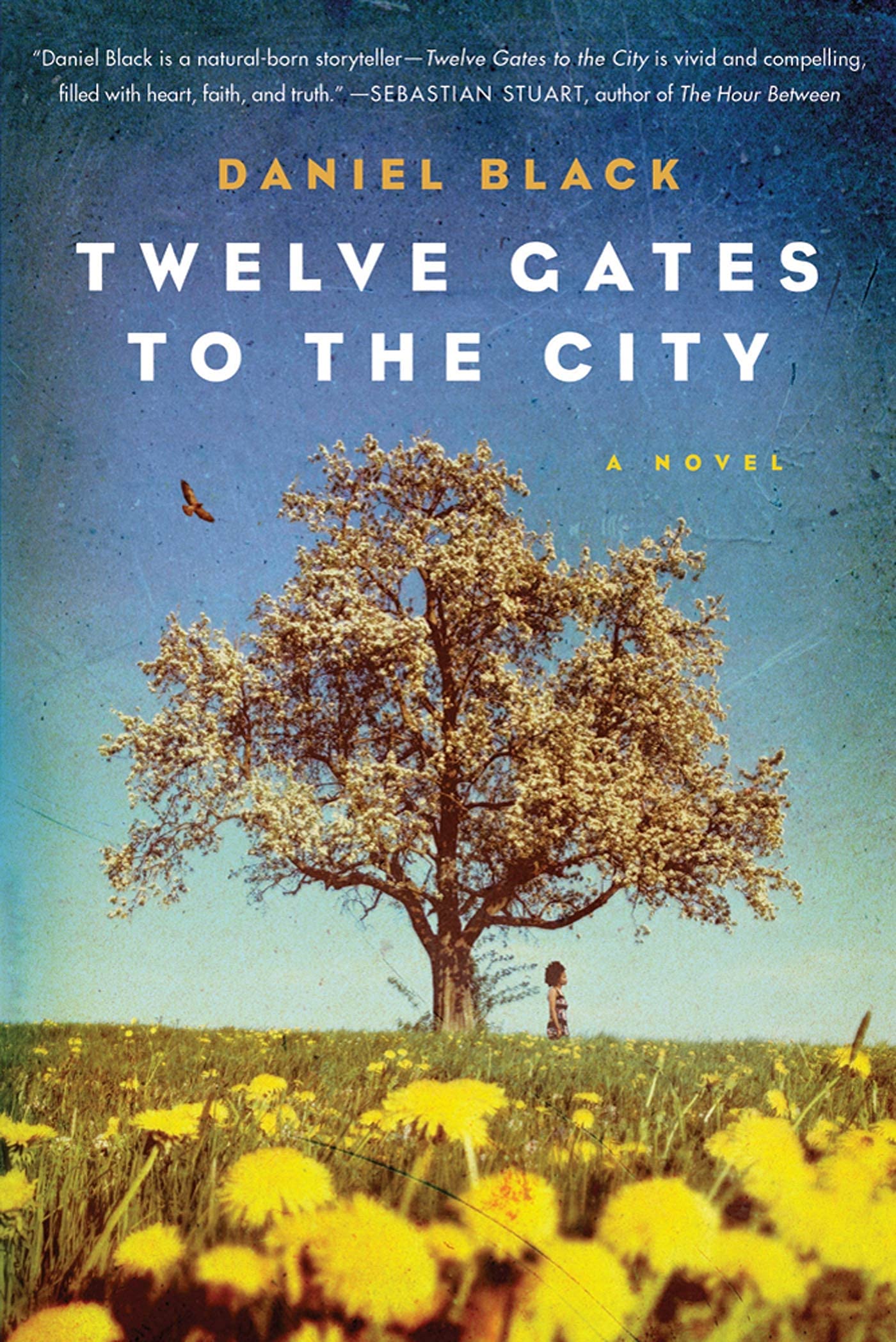 Twelve Gates to the City: A Novel (Tommy Lee Tyson, 2)