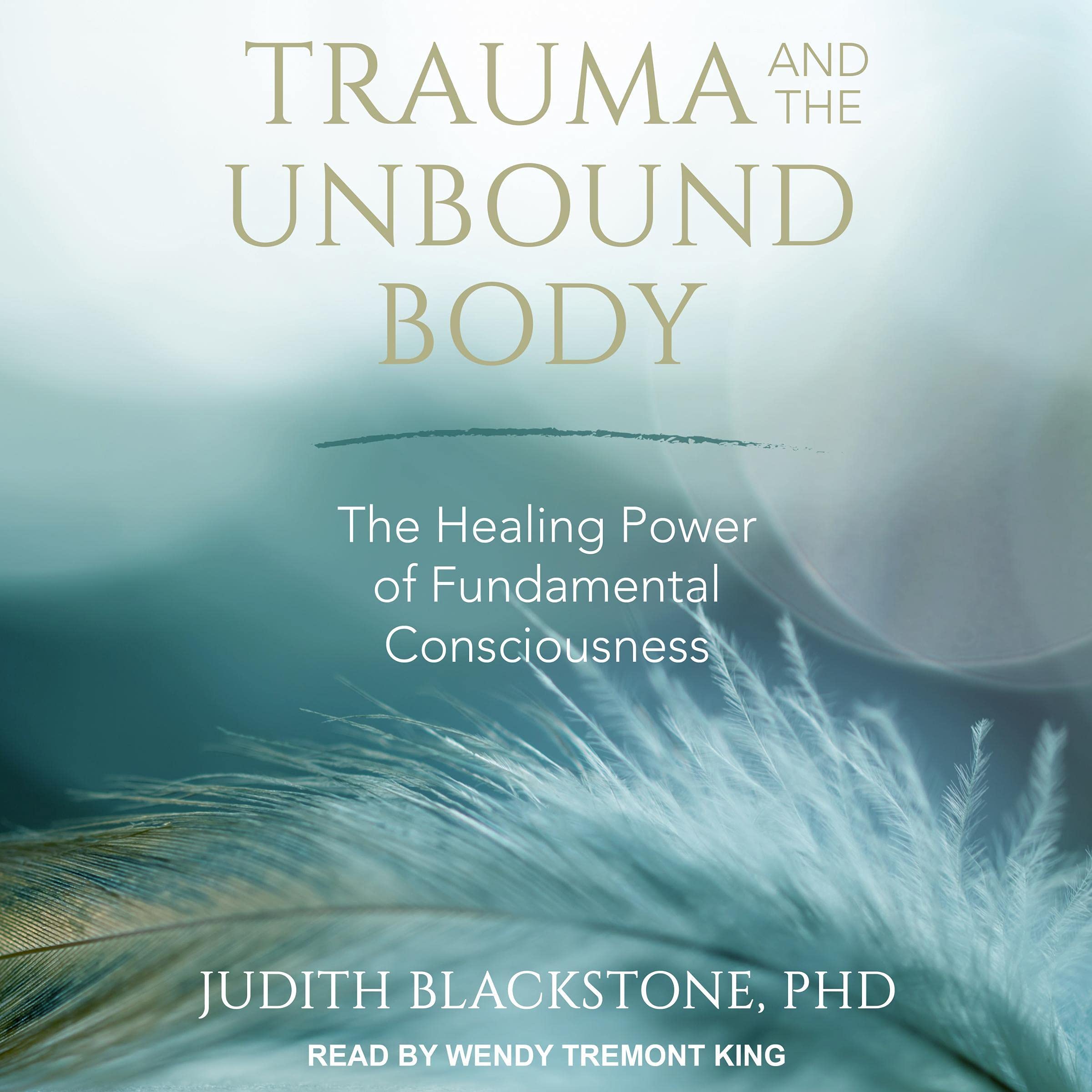 Cover art for Trauma and the Unbound Body