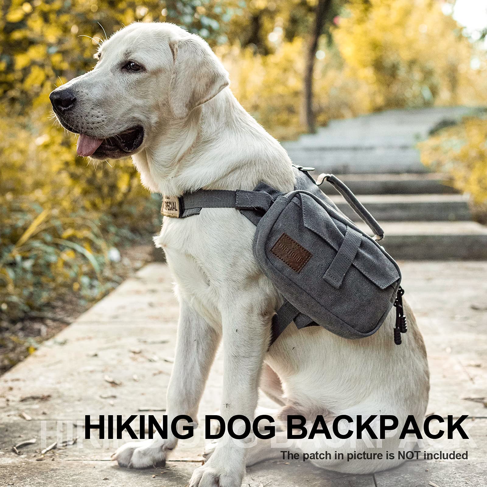 https://m.media-amazon.com/images/I/81MkkXUO+PL.jpg