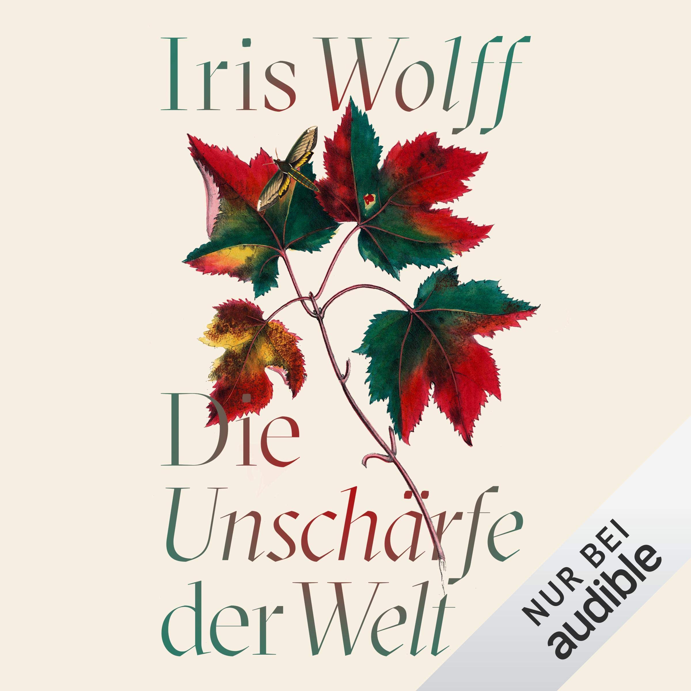 Cover art for Die Unschärfe der Welt