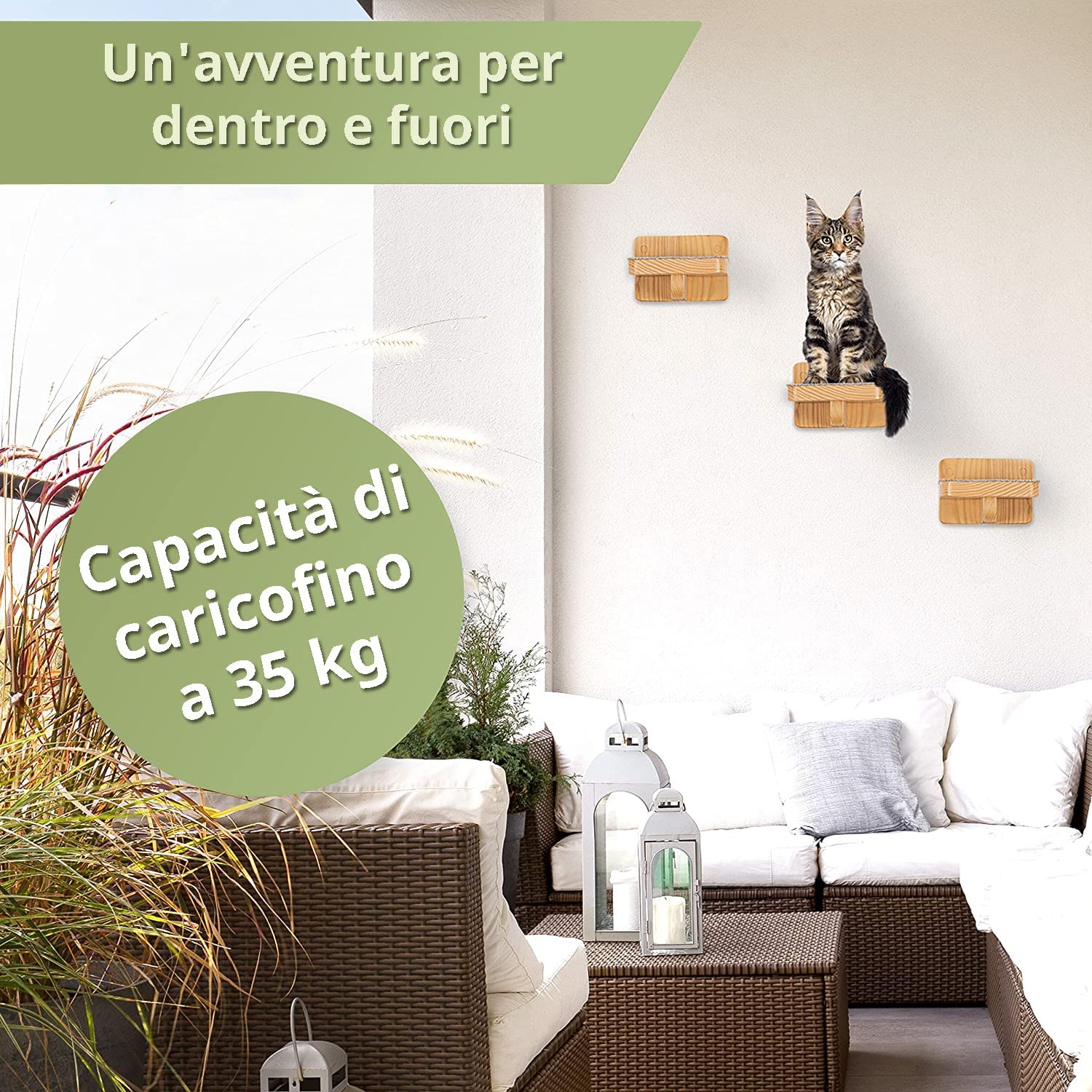 WOOWOOD® Set da 3 Scale per Gatti, Parete da Arrampicata per Gatti, Taglia M