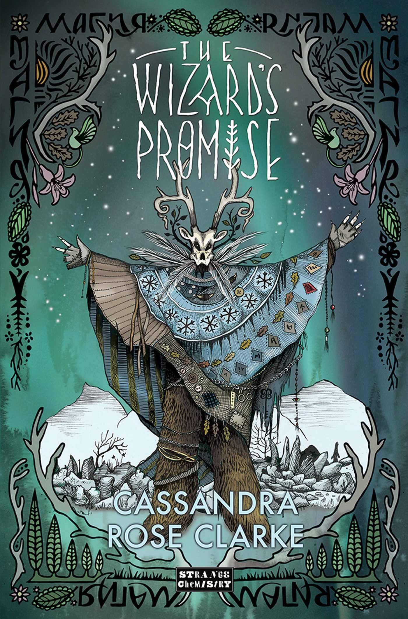 Buy Wizard's Promise — BookShops.in