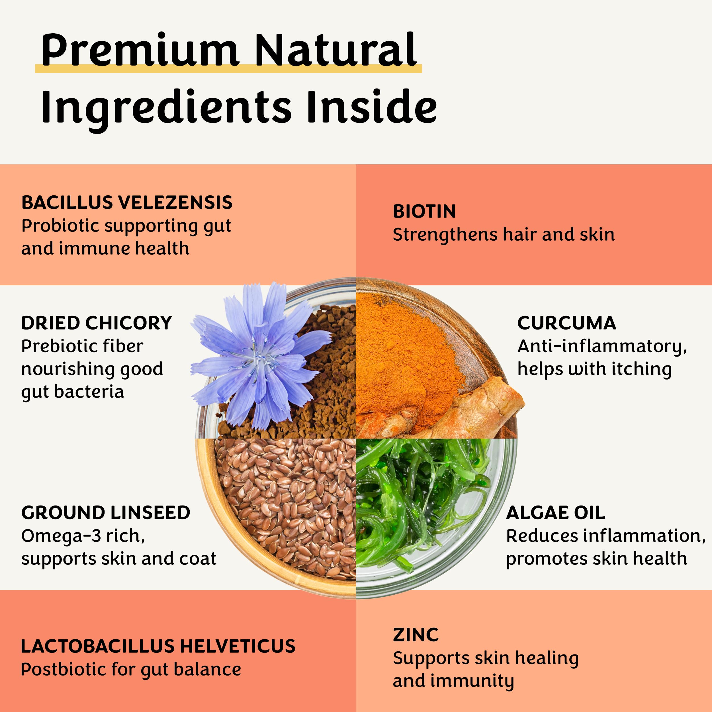 Belly Biotics: Präbiotischer, probiotischer und postbiotischer 3-in-1 Hundesnack – bei übermäßigem Pfotenlecken, Juckreiz und Verdauungsproblemen – 1 B KBE – 360 Leckerlis