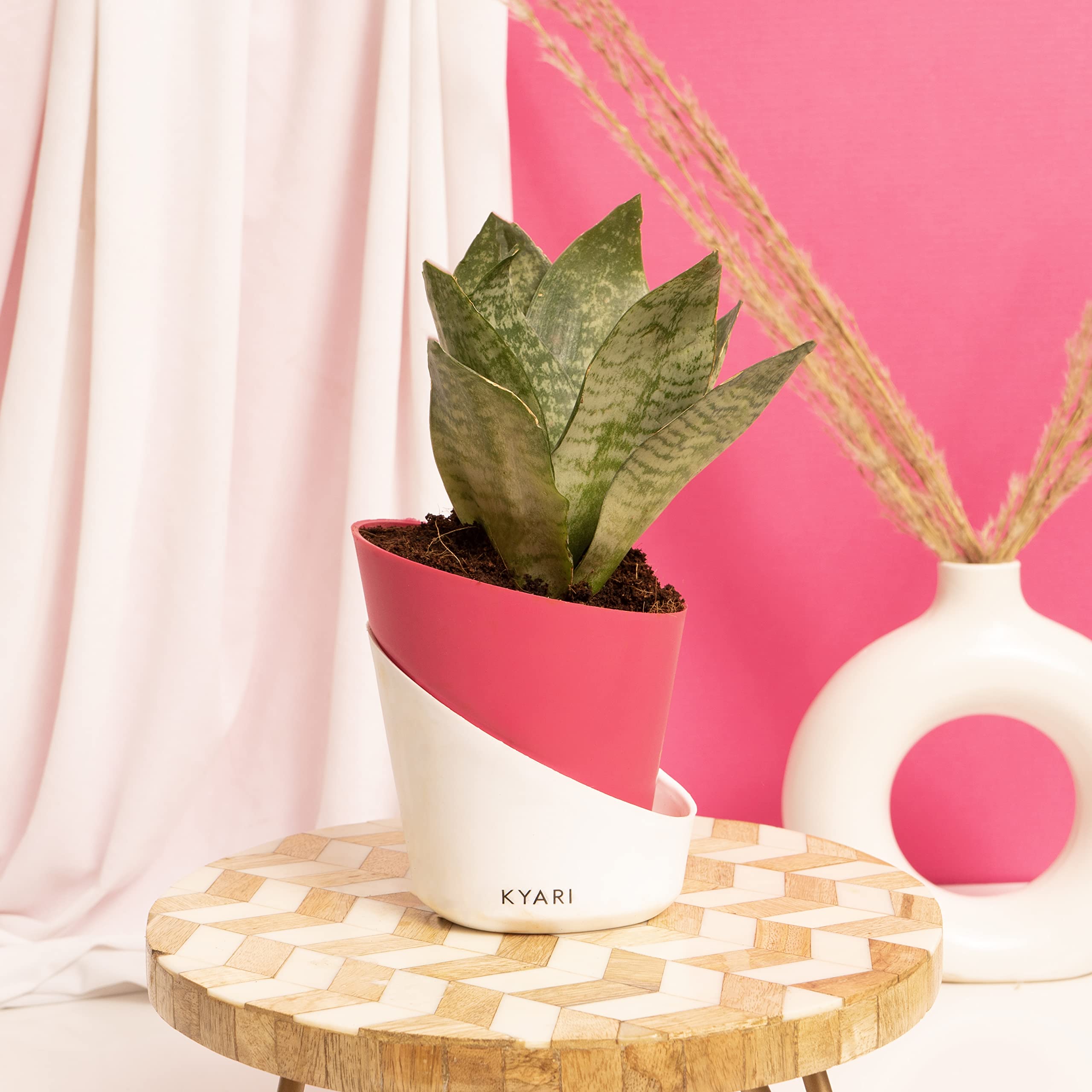 Magenta Self-Watering Pots - 8 Pack for Indoor Plants -3