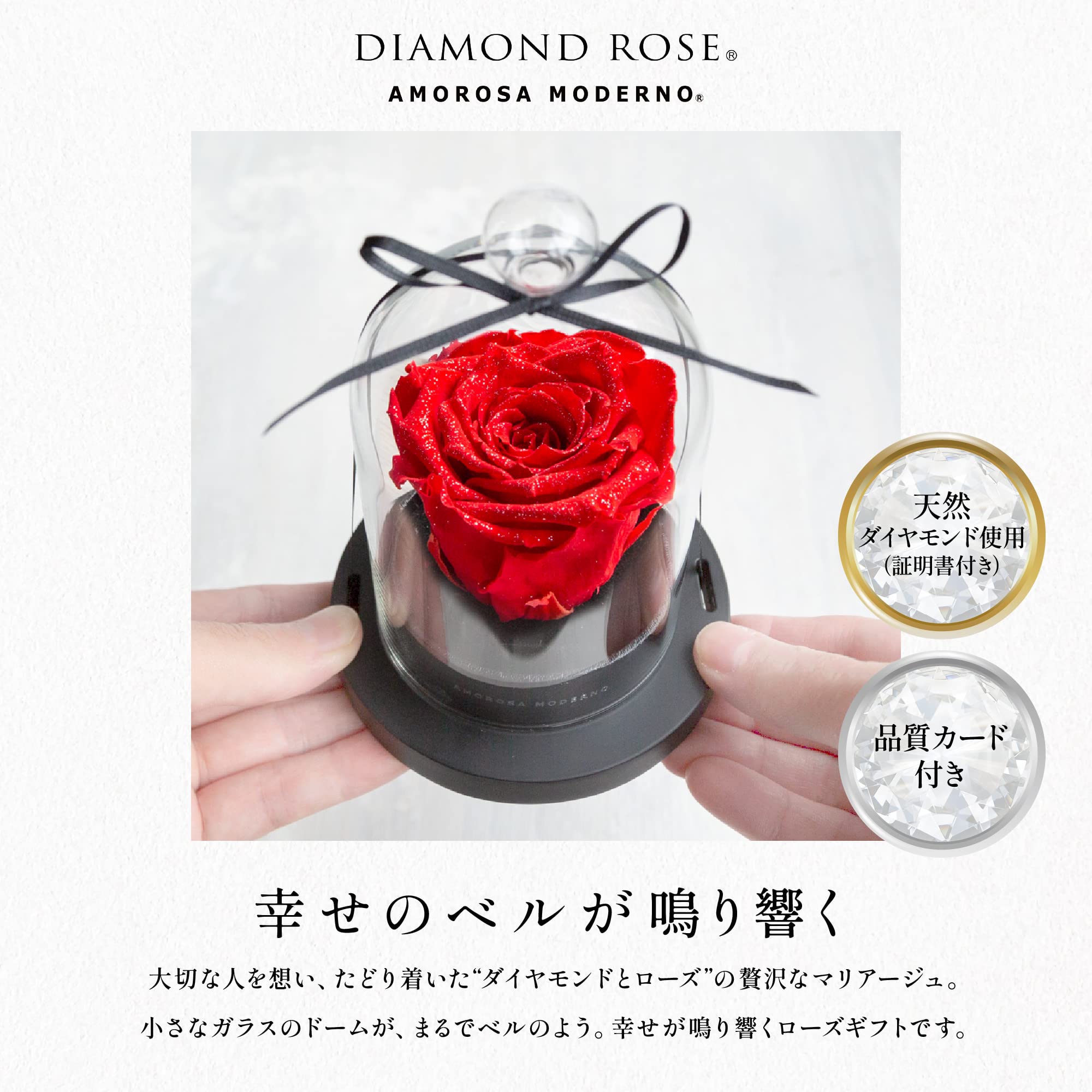 Amazon｜アモローサ モデルノ AMOROSA MODERNO プリザーブドフラワー