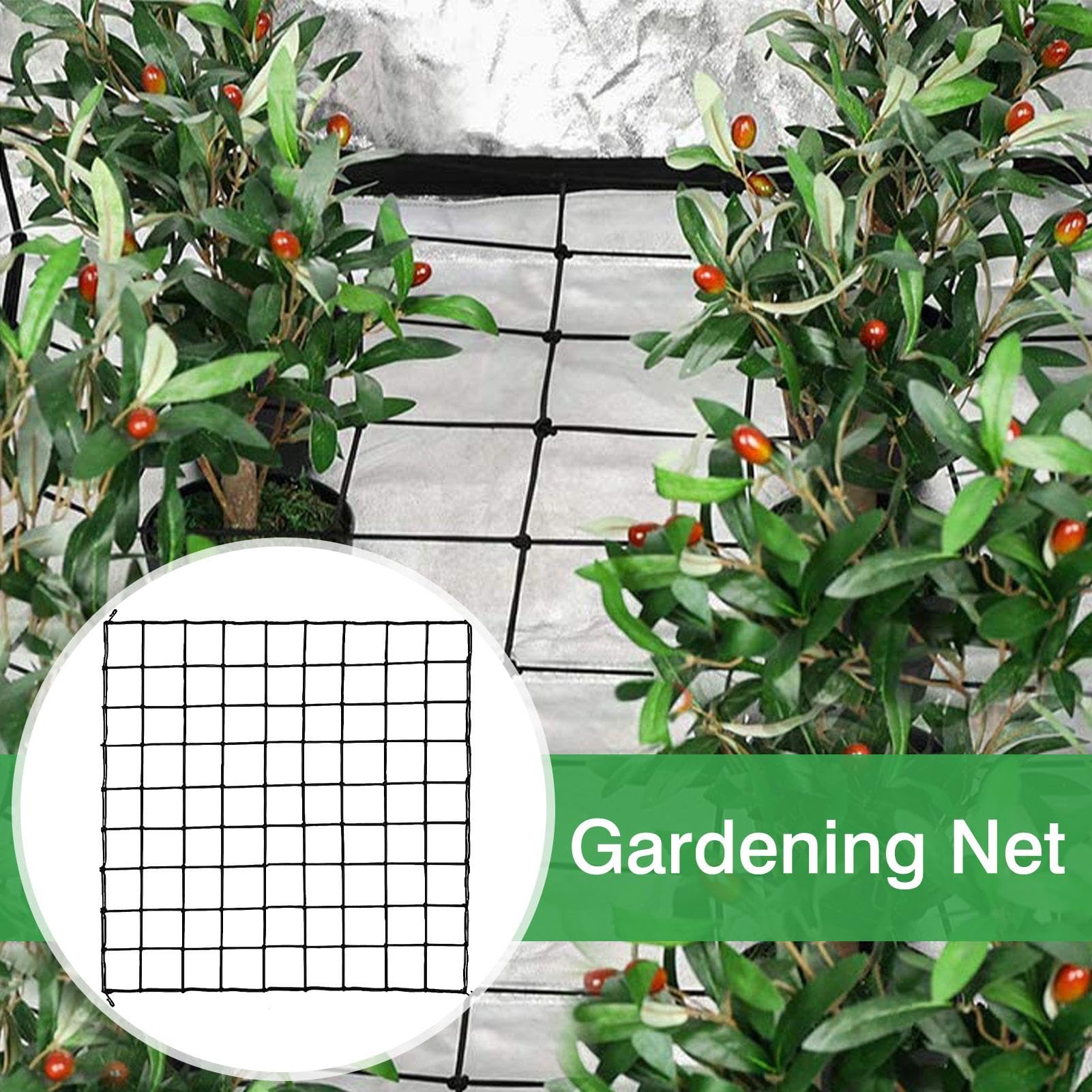 Filet Treillis Élastique 80x80cm Pour Plantes Grimpantes - Avec 4 Crochets - Jardin, Serre