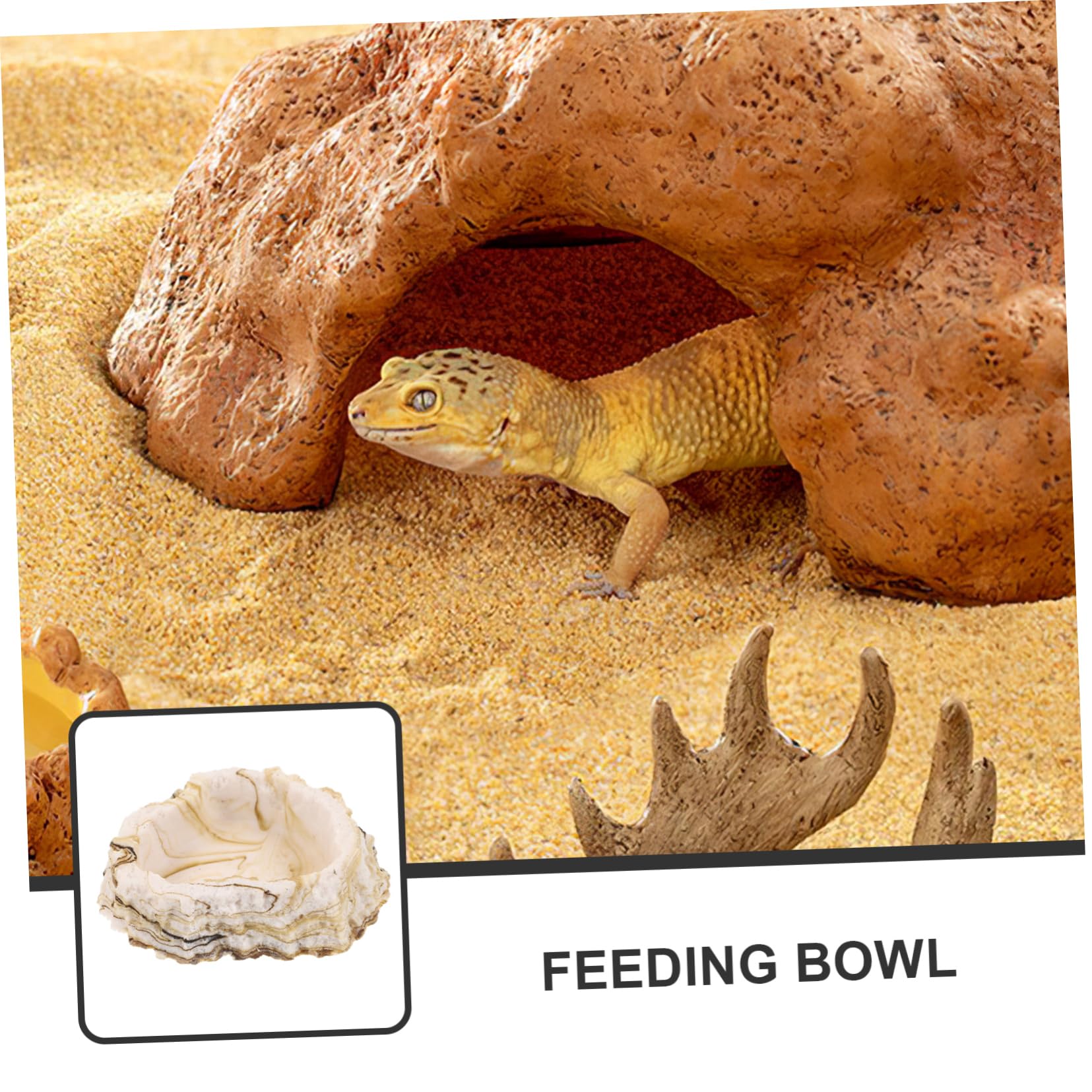 BESPORTBLE 5piezas Tazón De Alimentación para Reptiles De Resina para Terrarios Soporte Duradero para Comida y Agua De Lagartos y Tortugas Diseño Práctico y Ligero