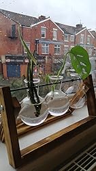 Buy Ivolador Desktop Glass Er DIY Test Tube Vase With 4x6 Picture Frame Photo Display Op Glass Terrariumin Wooden Stand For For Display Hydroponics Plants Home Garden Wedding Decoration