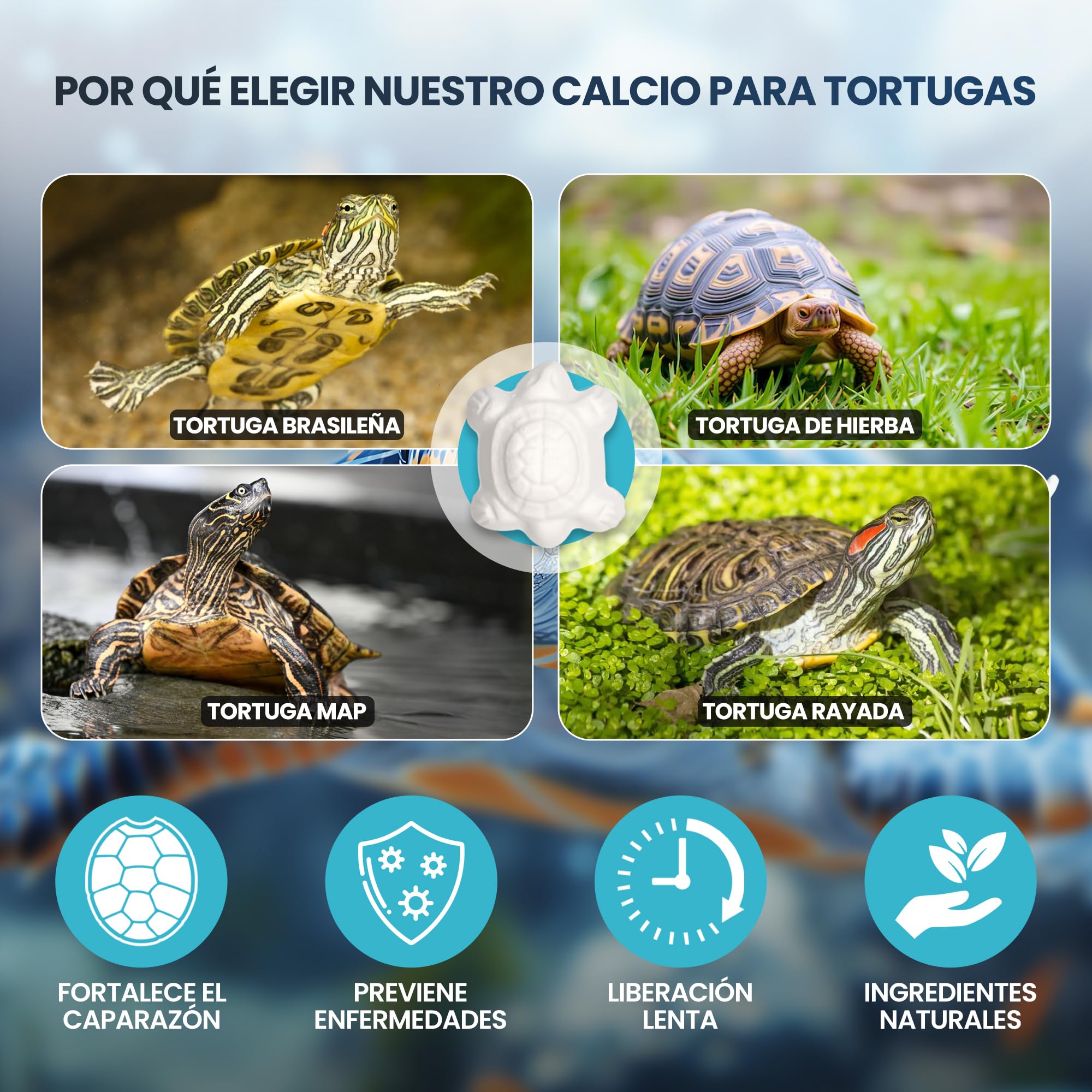 AreaAnimal - Calcio Tortugas de Agua, 10pcs Calcio para Tortugas de Agua con Liberación Lenta, Piedra Tortuga Que Fortalece el Caparazón y Mejora el Sistema Nervioso — view 3