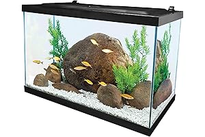 20 Gallon Fish Tank Tetra Aquarium Kit for Freshwater Fish