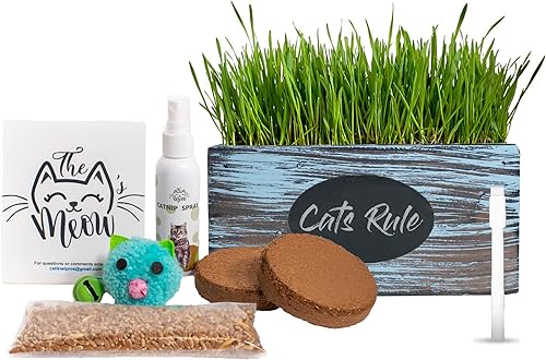 Maceta ornamental de interior con kit de cultivo de hierba para mascotasgatos, hecha a mano en los Estados Unidos de cedro rojo (AgedWash)