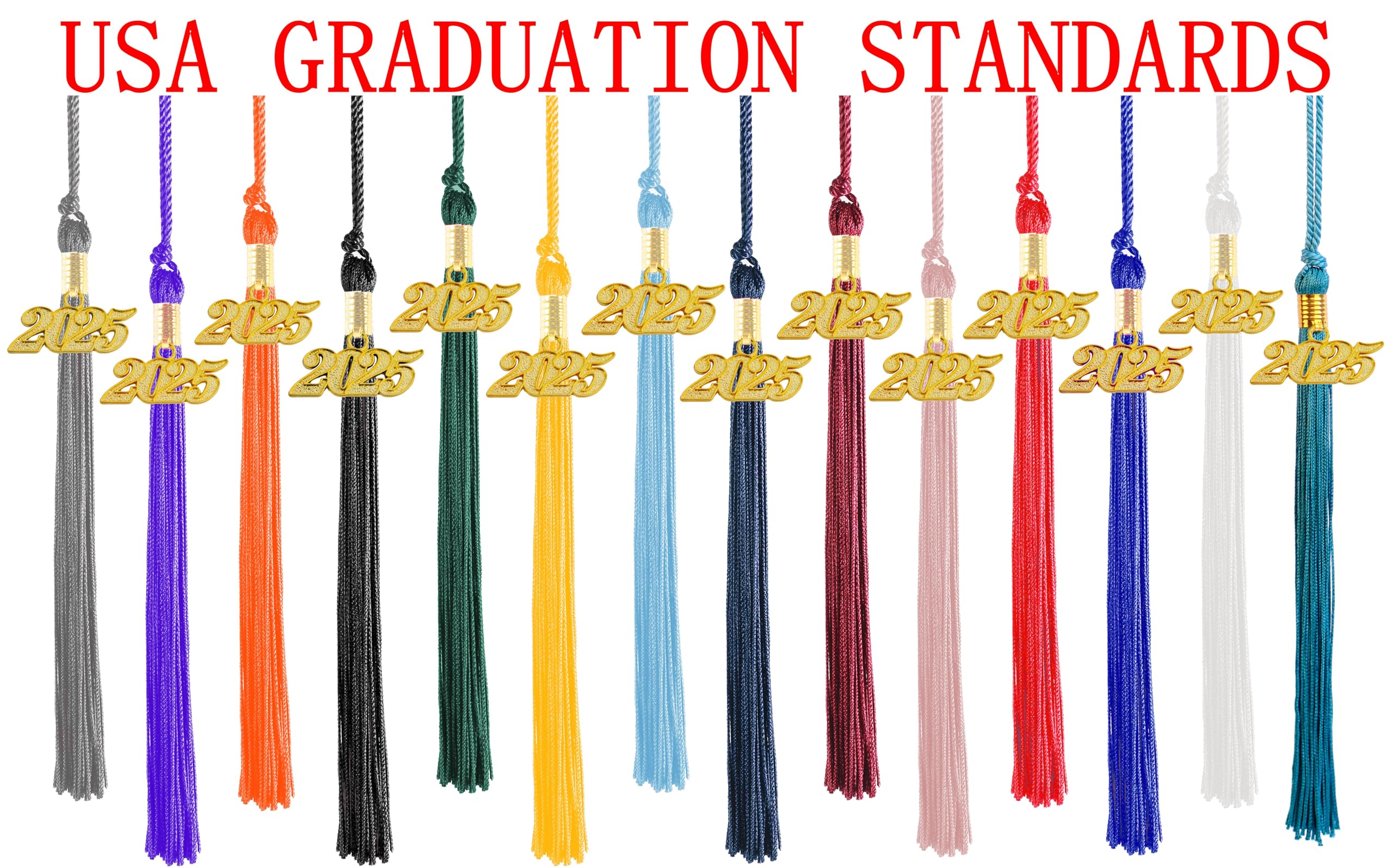 Étudiant Diplômé En Casquette Carrée Ou Chapeau Avec Pompon Guy Diplômé