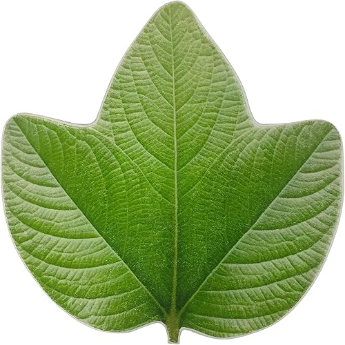 ZebraSmile Alfombras de baño  Alfombra de baño de hojas esponjosas, bonita alfombra de baño de hojas verdes, alfombra antideslizante para plantas,
