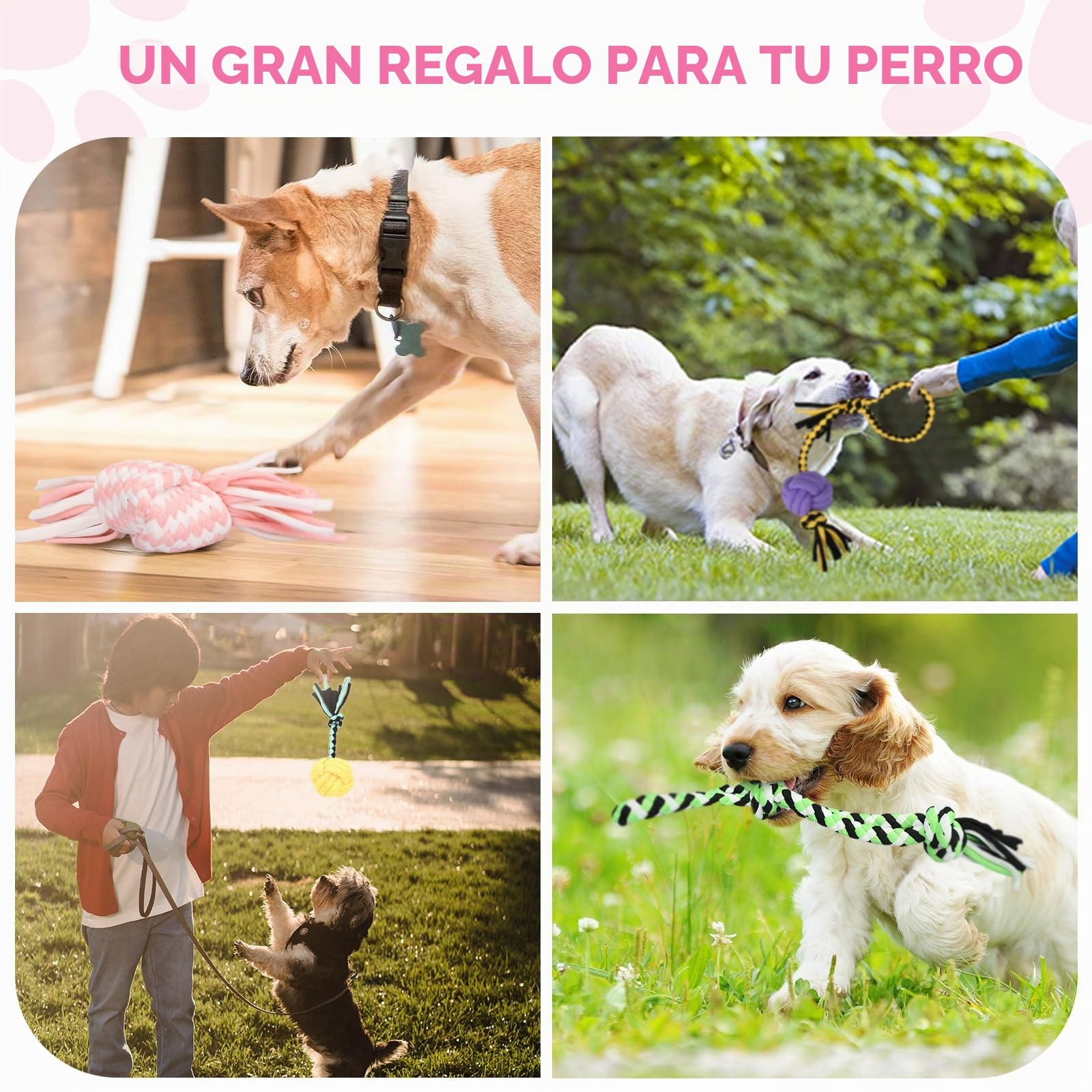 Juguetes para Perros,20 Piezas Juguete para Morder para Perro,Juego de Juguetes para Perros,Juguetes Interactivos para Limpiar Los Dientes Adecuado para Pequeño y Mediano
