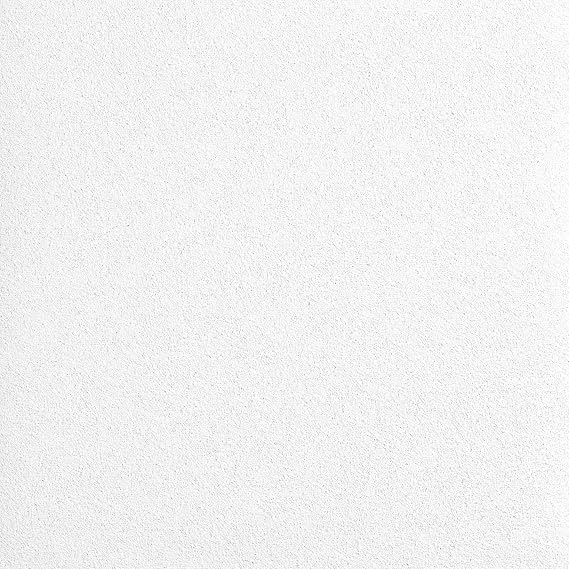 Armstrong Ceiling Tiles; 2x2 Ceiling Tiles - 6 pcs White; Acoustic Ceilings for Suspended Grid; LYRA Plant Based (PB) High CAC 8731PB