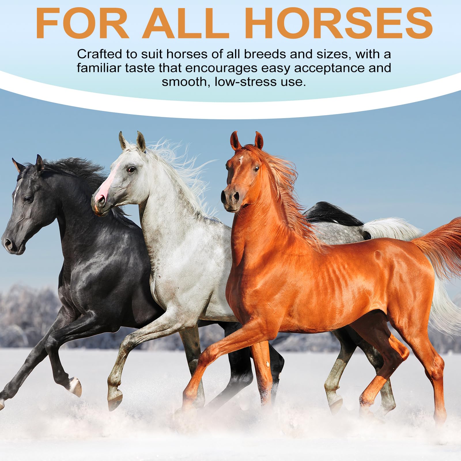 Lot de 6 gels pour chevaux 1,87 % goût pomme pour chevaux jusqu'à 567 kg - Gel simple pour tous les âges