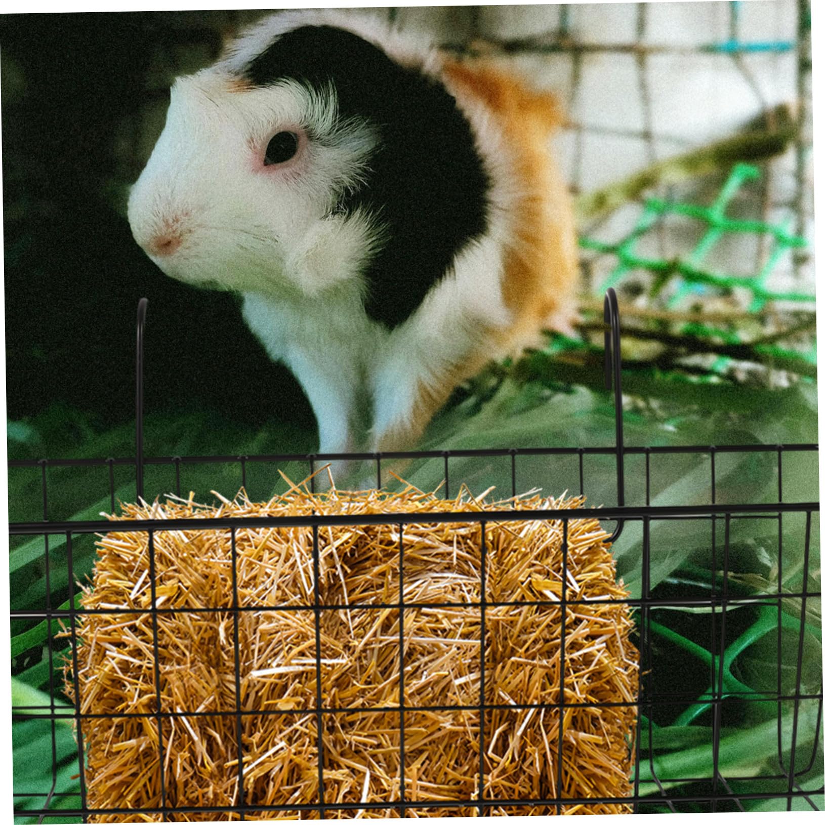 Heuraufe aus Eisen Waschbar und Leicht zu Reinigen Robuster Futterhalter für Kaninchen und Meerschweinchen für Kleintier Heufutter im Kaninchenstall