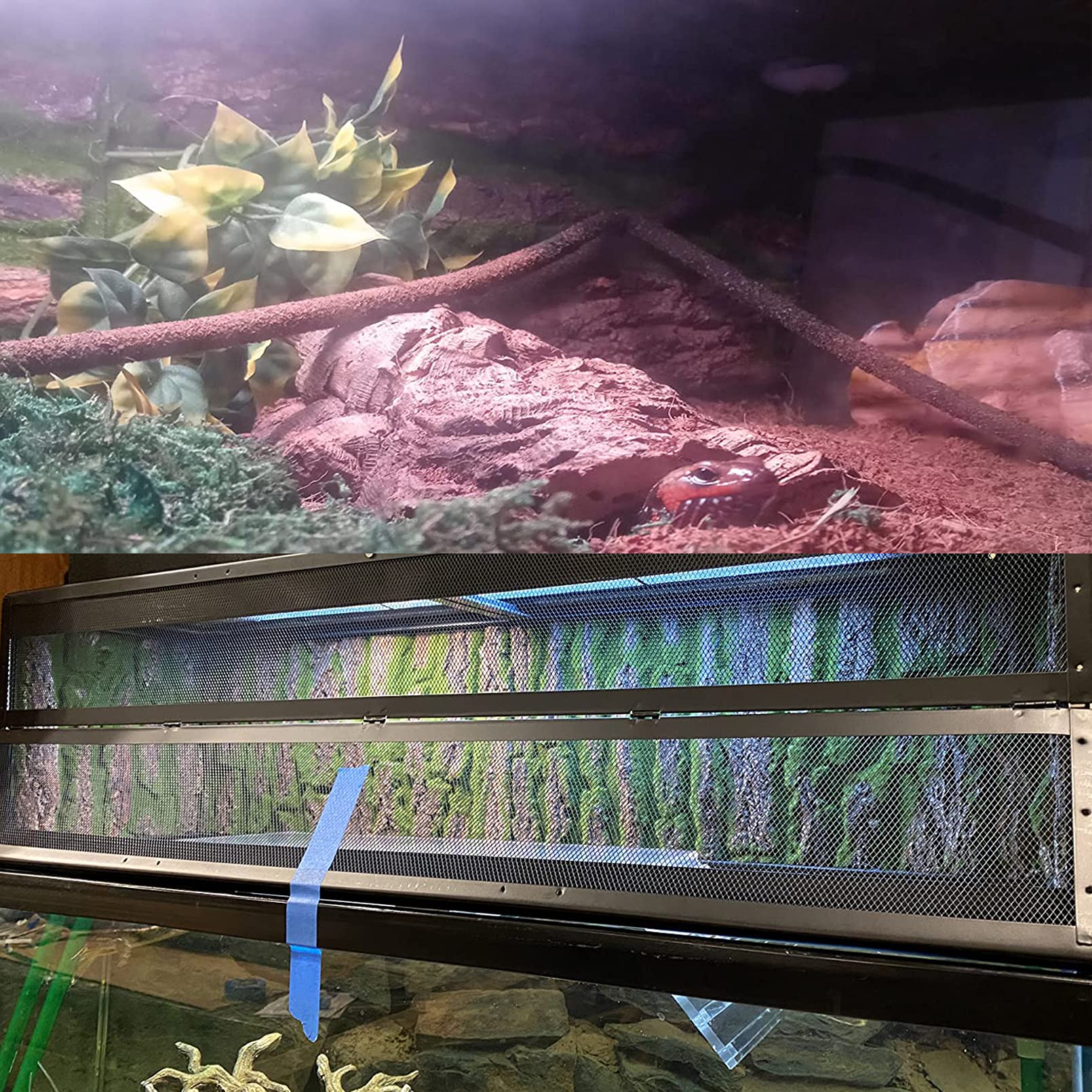 PINVNBY Reptilien-Kork-Terrarium-Hintergrund, Bartdrache, Aquarium, natürliche Rinde, Wand-Habitat-Dekor mit künstlichem Moos, 40 x 29 cm, Reptilienteppich für Gecko, Eidechse, Schildkröte, Frosch,