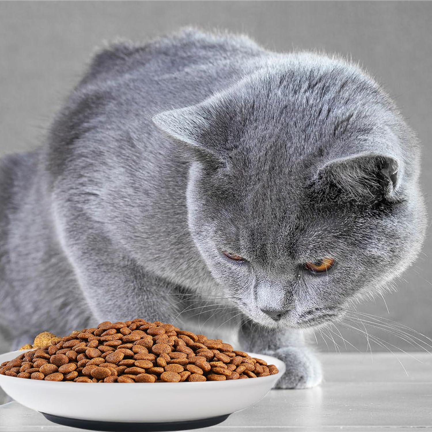 Cat Food Bowl,Healthy Ceramic Cat Bowls for Indoor Cats,Anti Whisker Fatigue Cat Dishes Set,Shallow Wide Kitten Plates for Food and Water,Non-Slip Silicone Bottom,3 Pack
