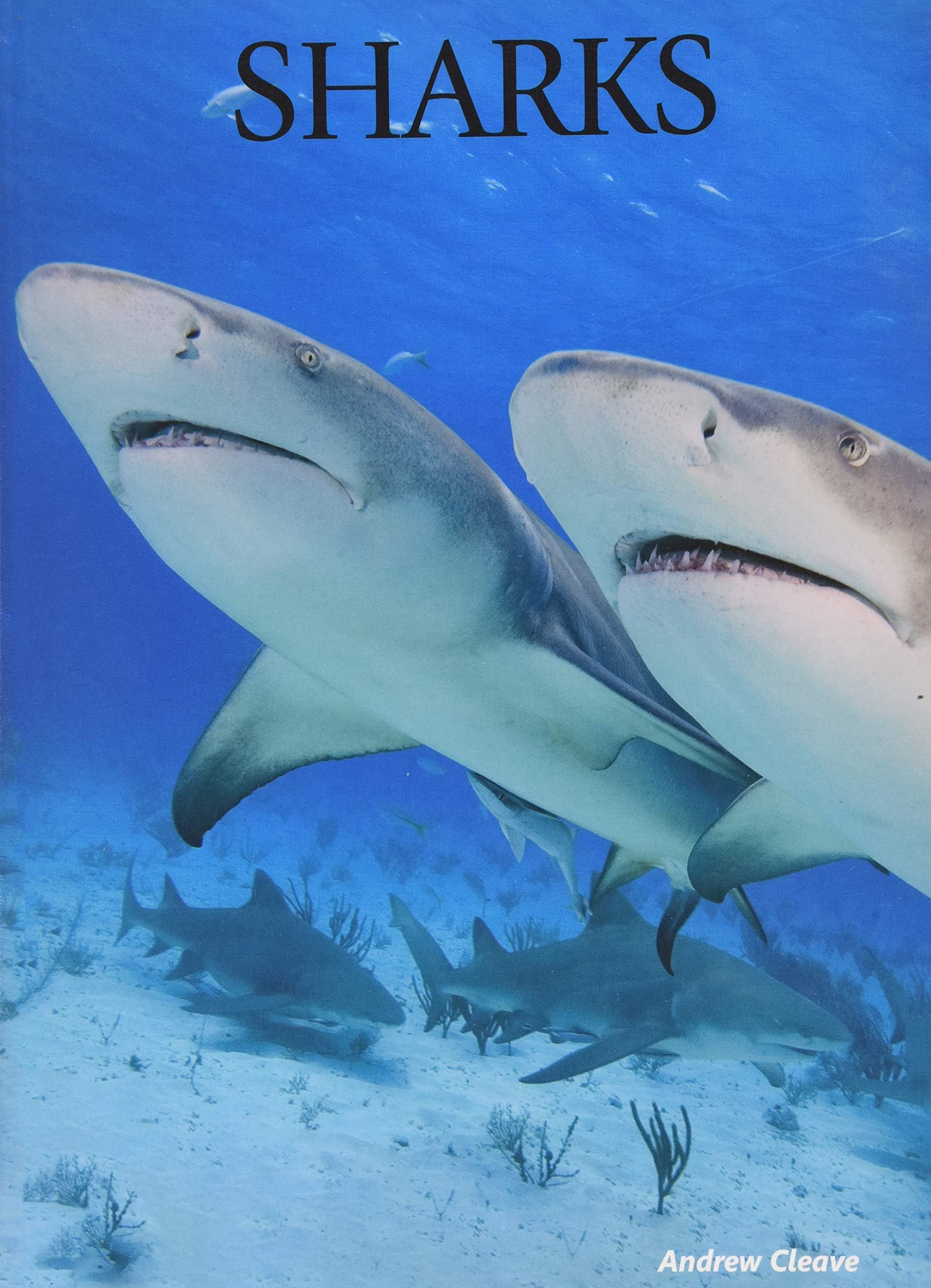 Sharks