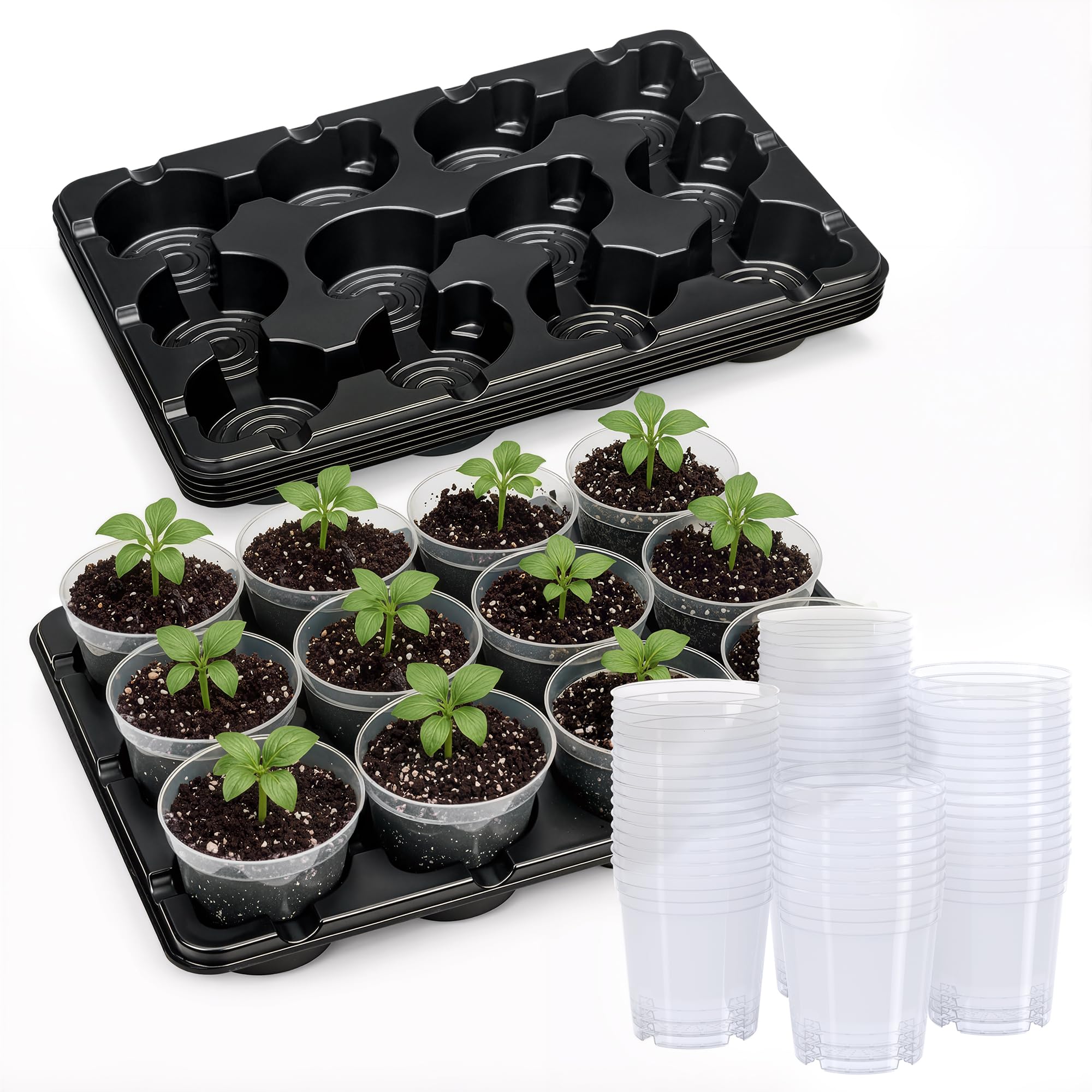 homenote 5 Pack 12 Cell Seed Starter Trays with 60 4 Inch Nursery Pots