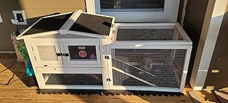 Review Image by Tim Thurman