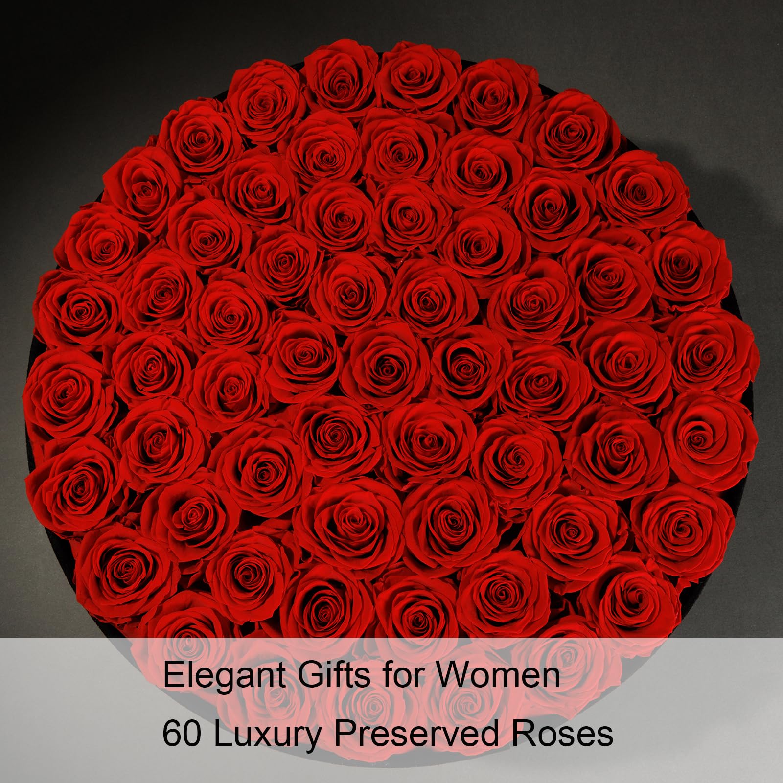 NATROSES Gifts for Her 27 Piece Forever Preserved Roses in a Box, Preserved Flowers for Delivery Birthday, Flowers Gifts for Mothers Day, Dusty Pink: Red 60 Roses