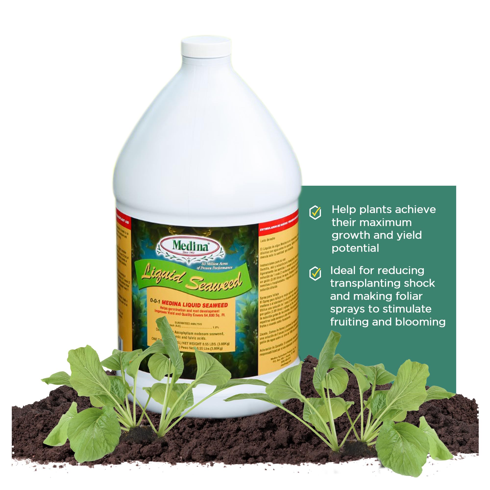 Medina Liquid Seaweed 64000 Sq. Ft. Liquid, Spray Gal