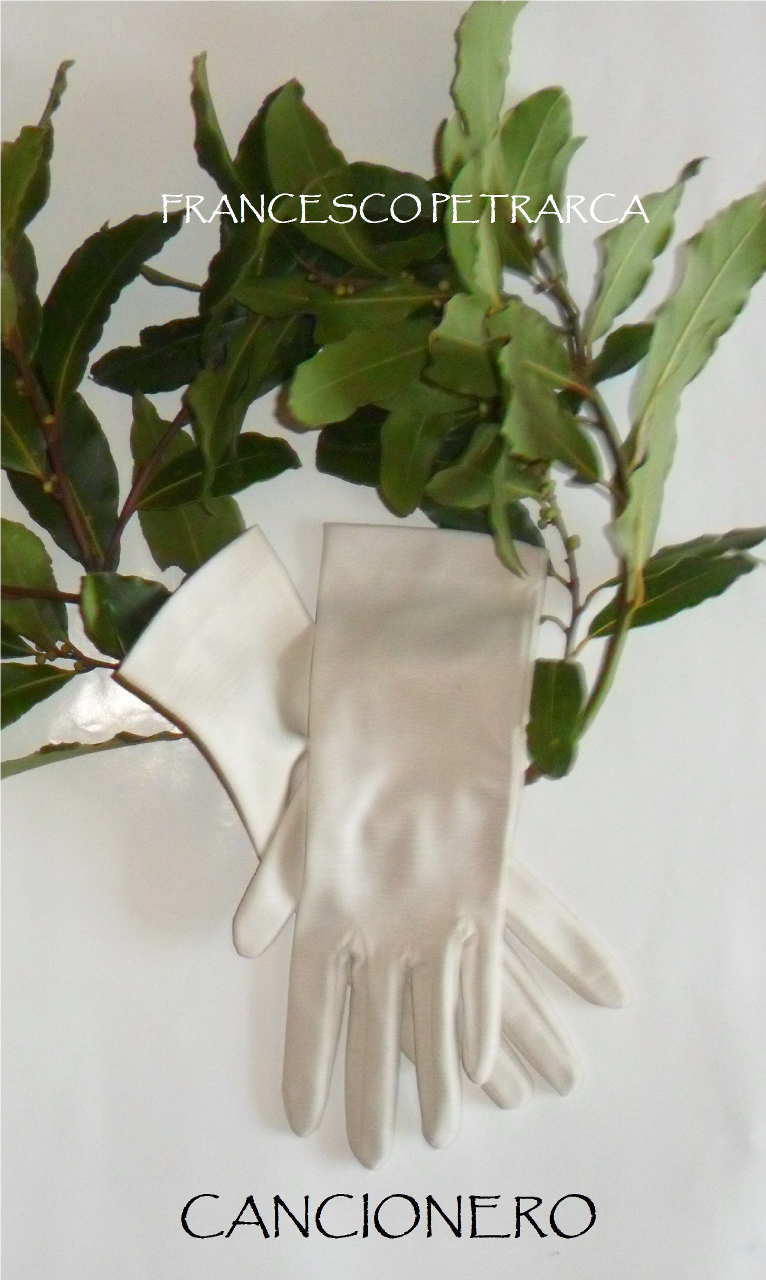 Cancionero (Spanish Edition)