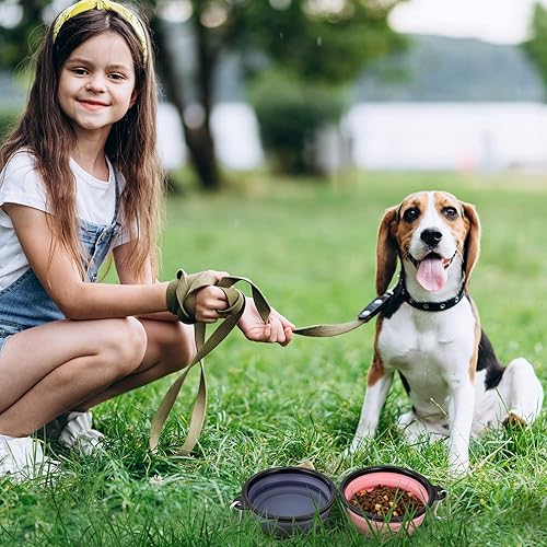 Vista 144 de SLSON - Tazón plegable portátil para perros, gatos y mascotas con 2 mosquetones para paseos, estacionamiento y viajes, para agua y comida
