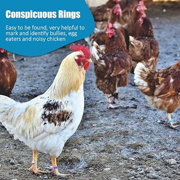 Weewooday 48 Pcs 16 mm Chicken Leg Bands Numbered Clip on Poultry Rings