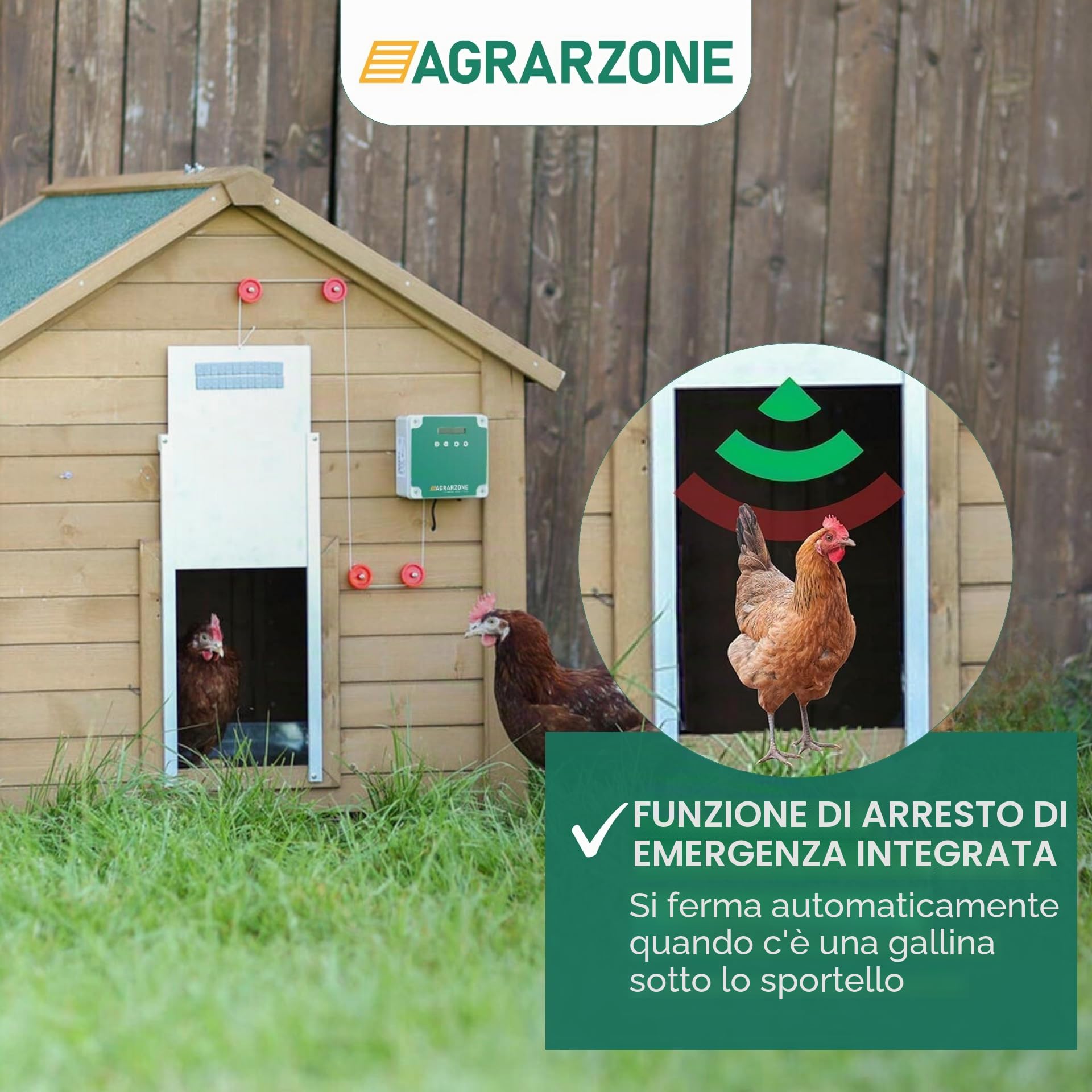 Agrarzone Porta automatica per pollaio 43 x 40 cm - Triplo controllo: timer, sensore luce o manuale - Design robusto e sicuro con arresto di emergenza