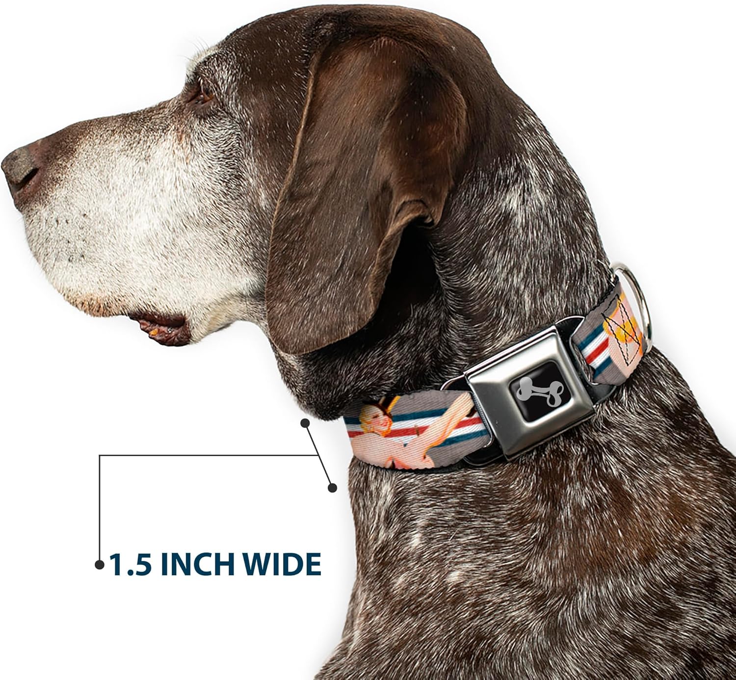 Dog Collar Seatbelt Buckle Pin Up Girl Poses Close Up Star Stripes Gray Blue White Red 11 to 17 Inches 1.0 Inch Wide