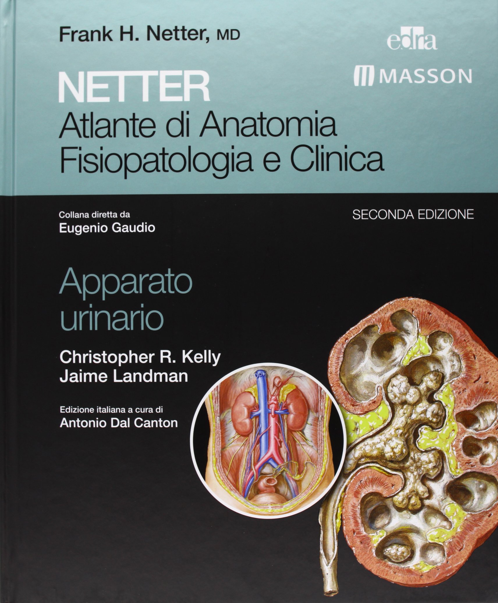 Netter. Atlante di anatomia fisiopatologia e clinica: apparato urinario