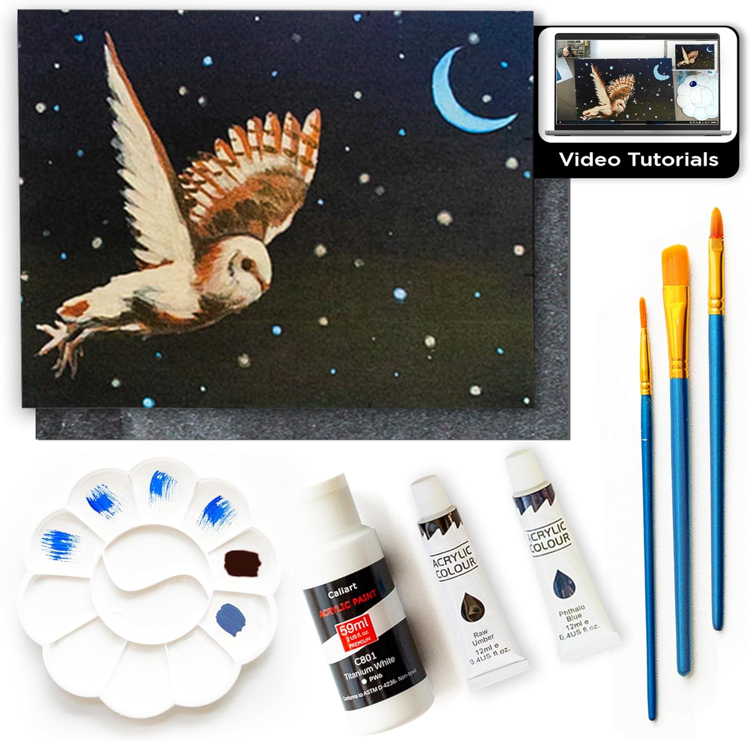 Painting4Real Acrylic Art Painting Kit with Video Tutorials - How to Paint with Acrylic Paint Set for Adults, Learn to Paint Winter Owl - 9 Peices Painting Set for Adults, Beginners, Art Lovers